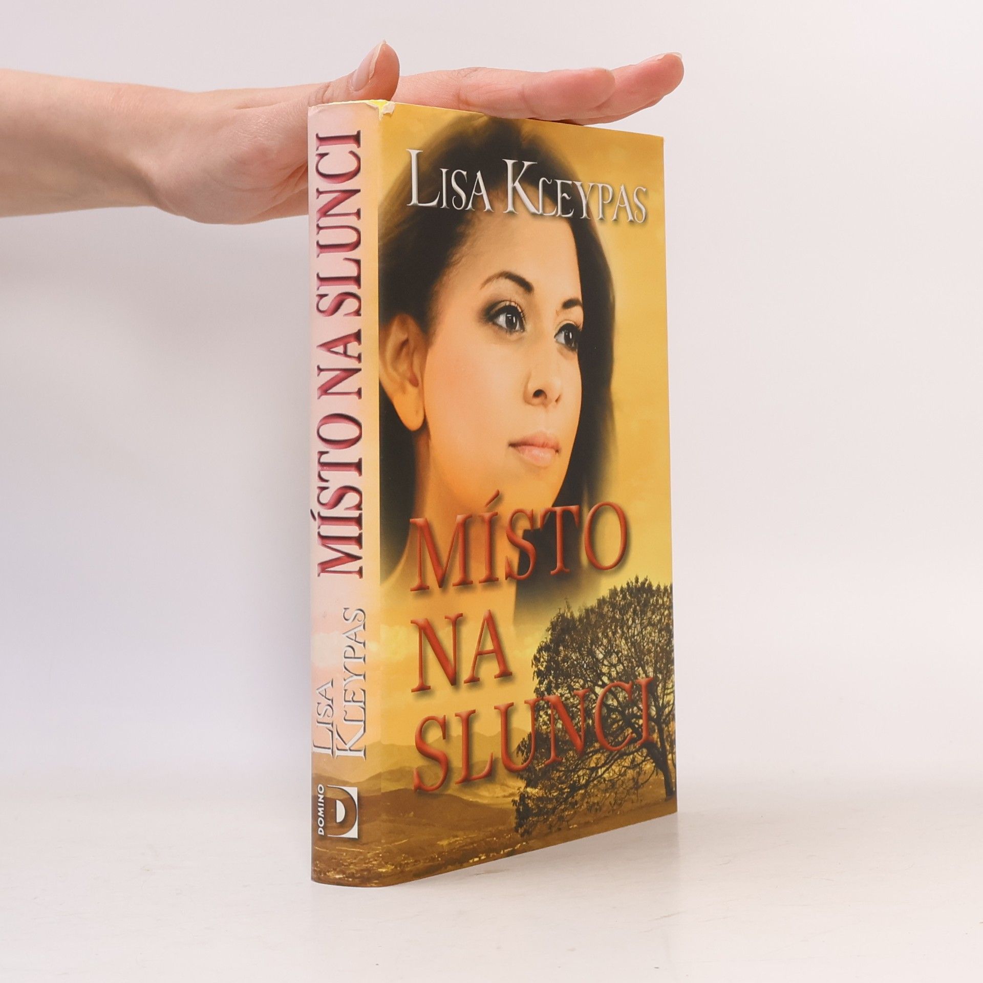 Lisa Kleypas Místo na slunci