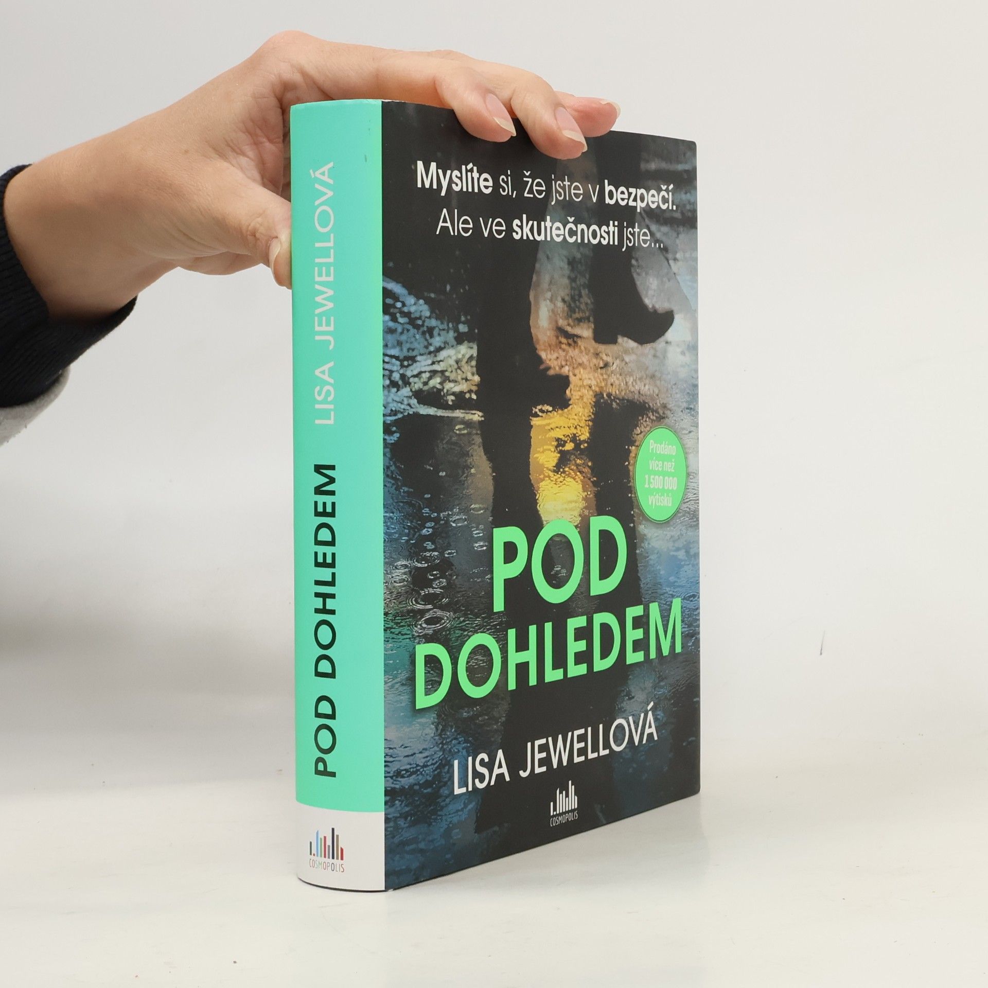 Lisa Jewell Pod dohledem