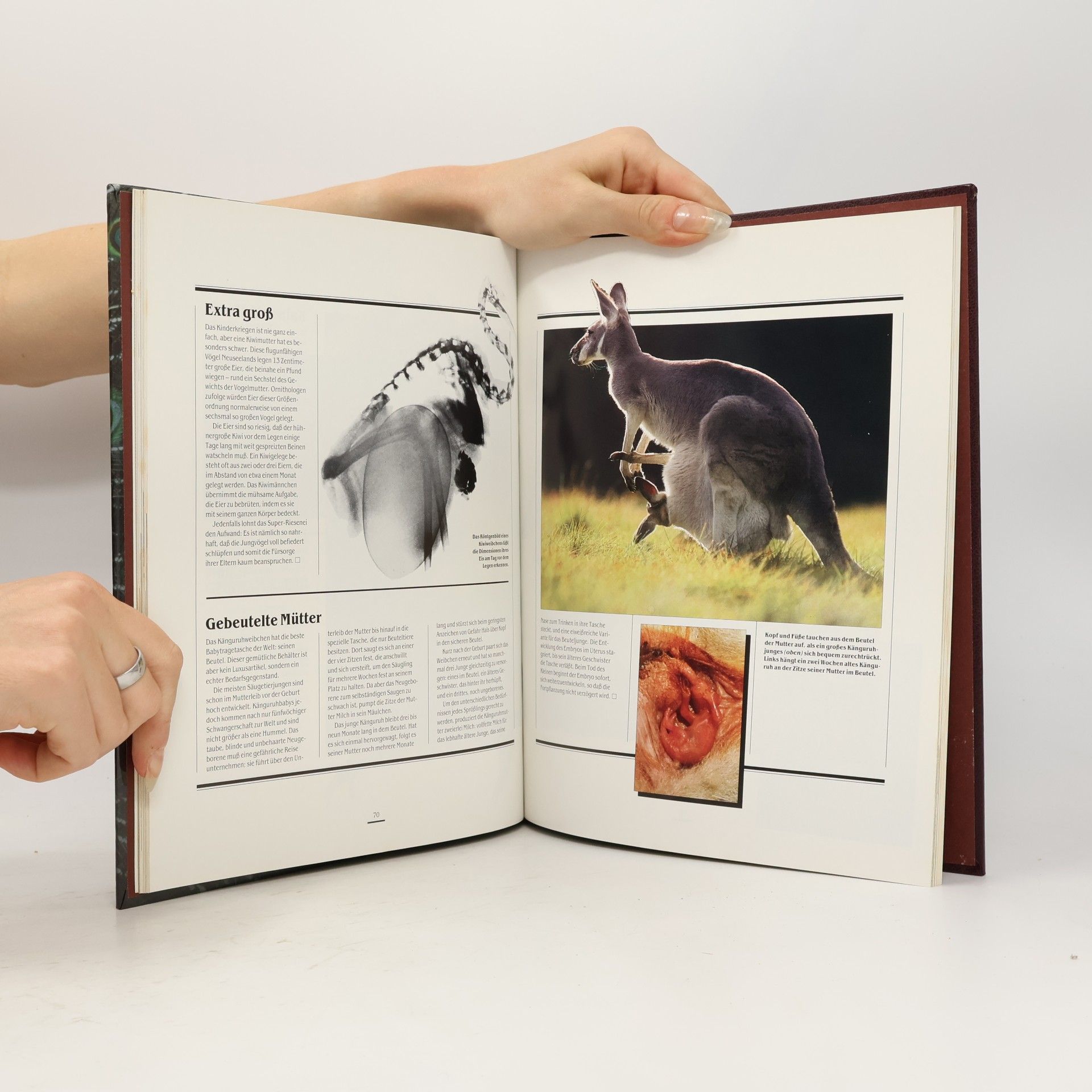 Marianne Tölle Wundersames aus der Tierwelt