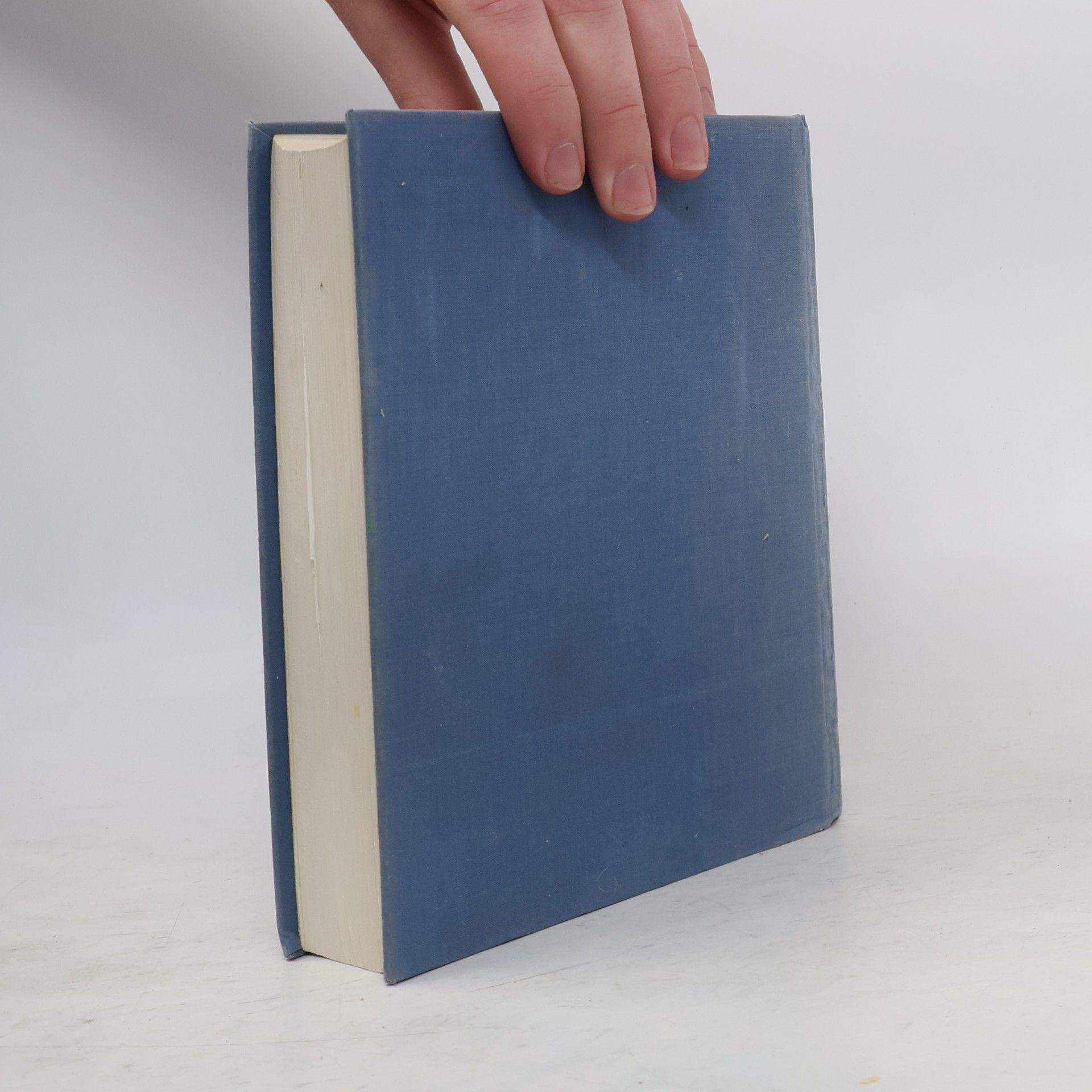 kolektiv Bible