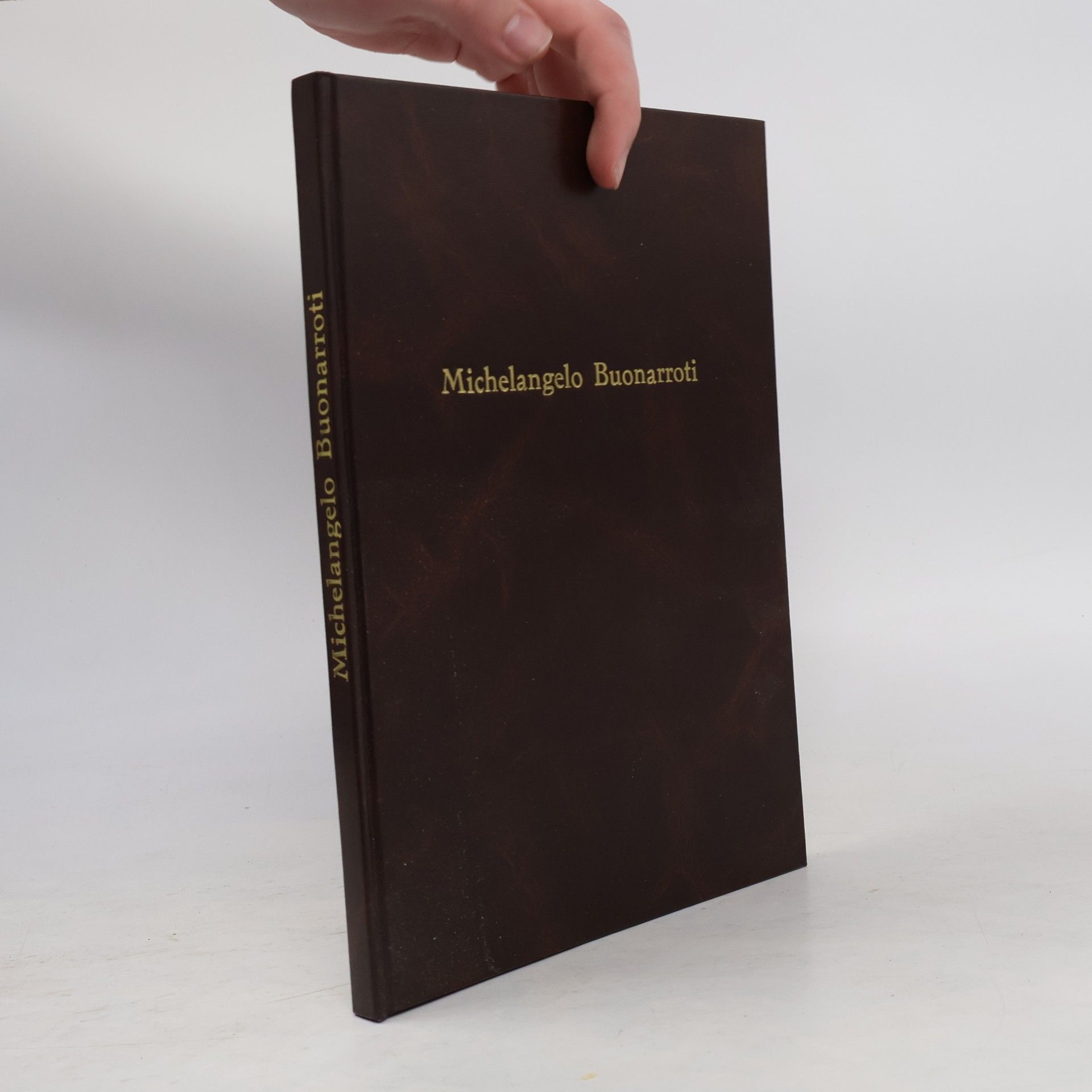 kolektiv Michelangelo Buonarroti