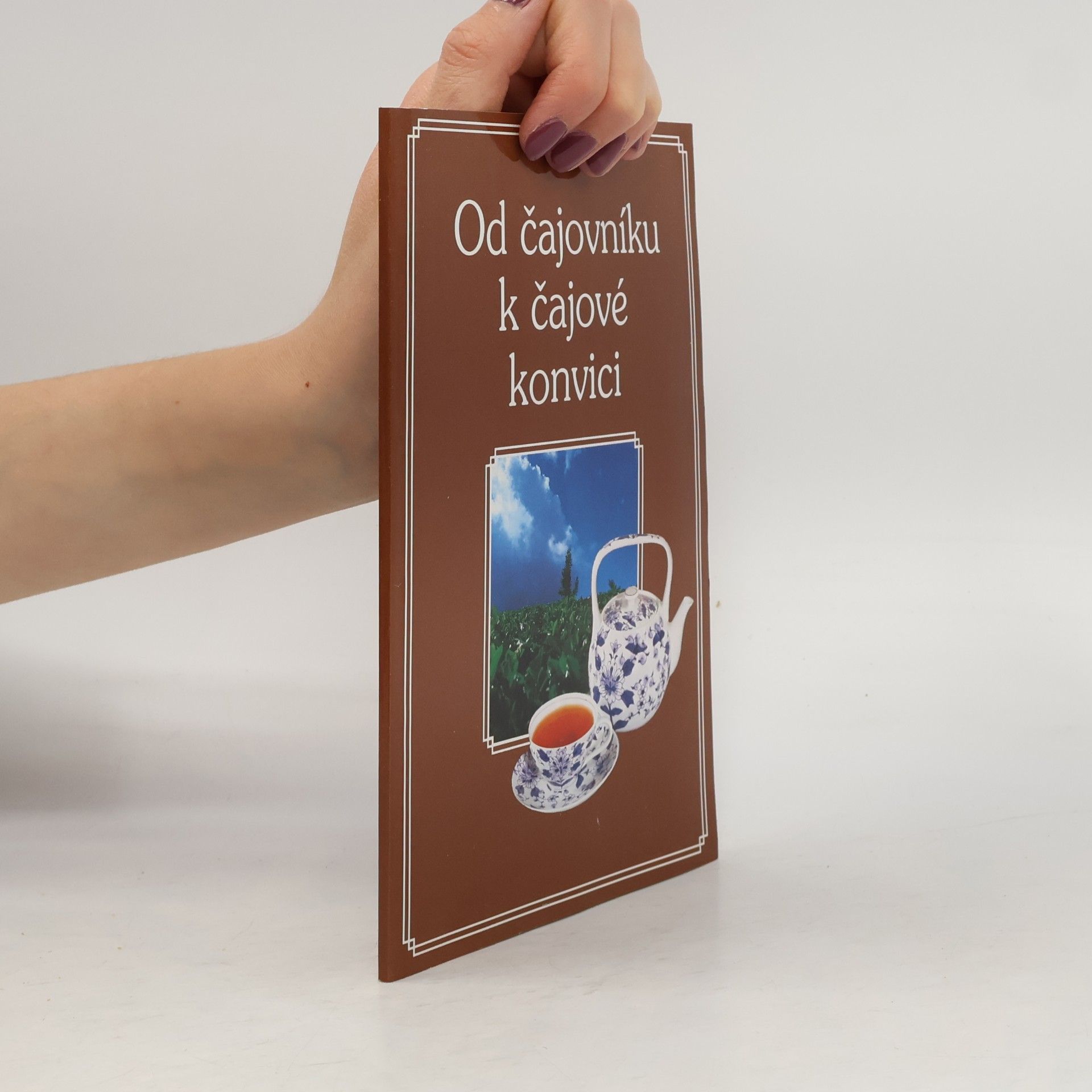 kolektiv Od čajovníku k čajové konvici