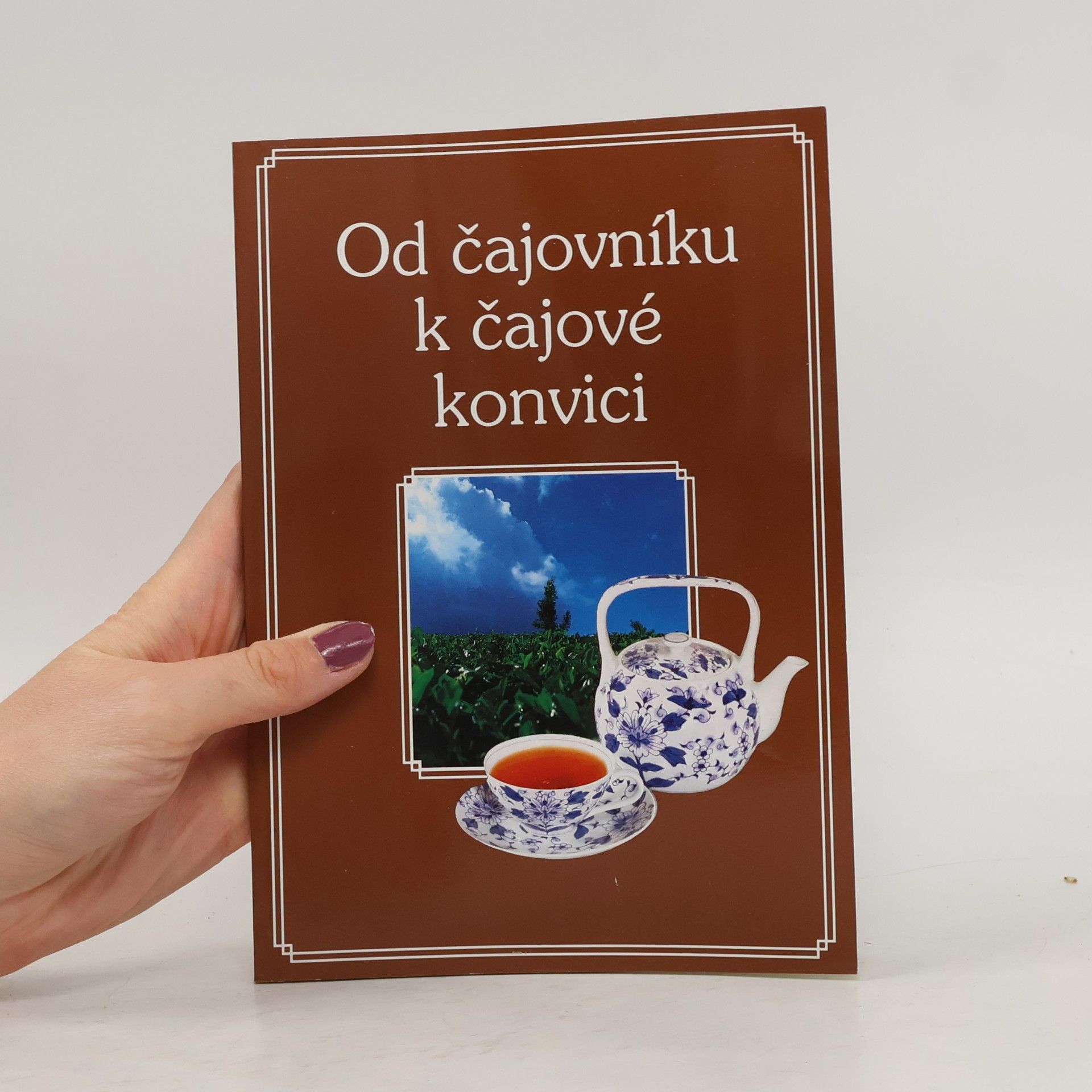 kolektiv Od čajovníku k čajové konvici