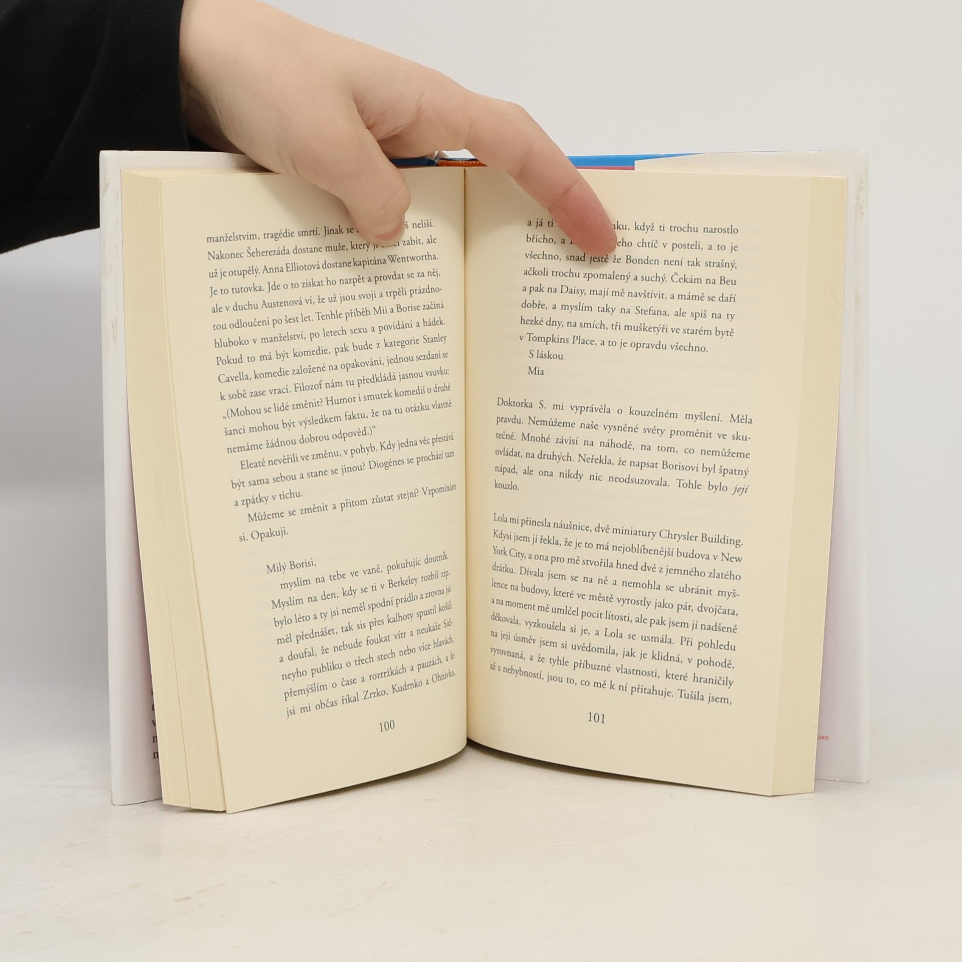 Siri Hustvedt Léto bez mužů
