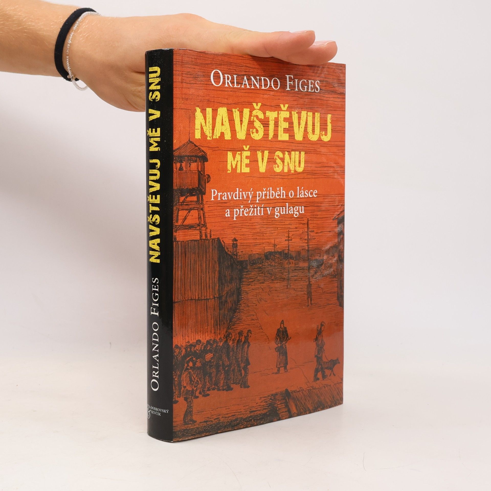 Navštěvuj mě v snu : pravdivý příběh o lásce a přežití v gulagu