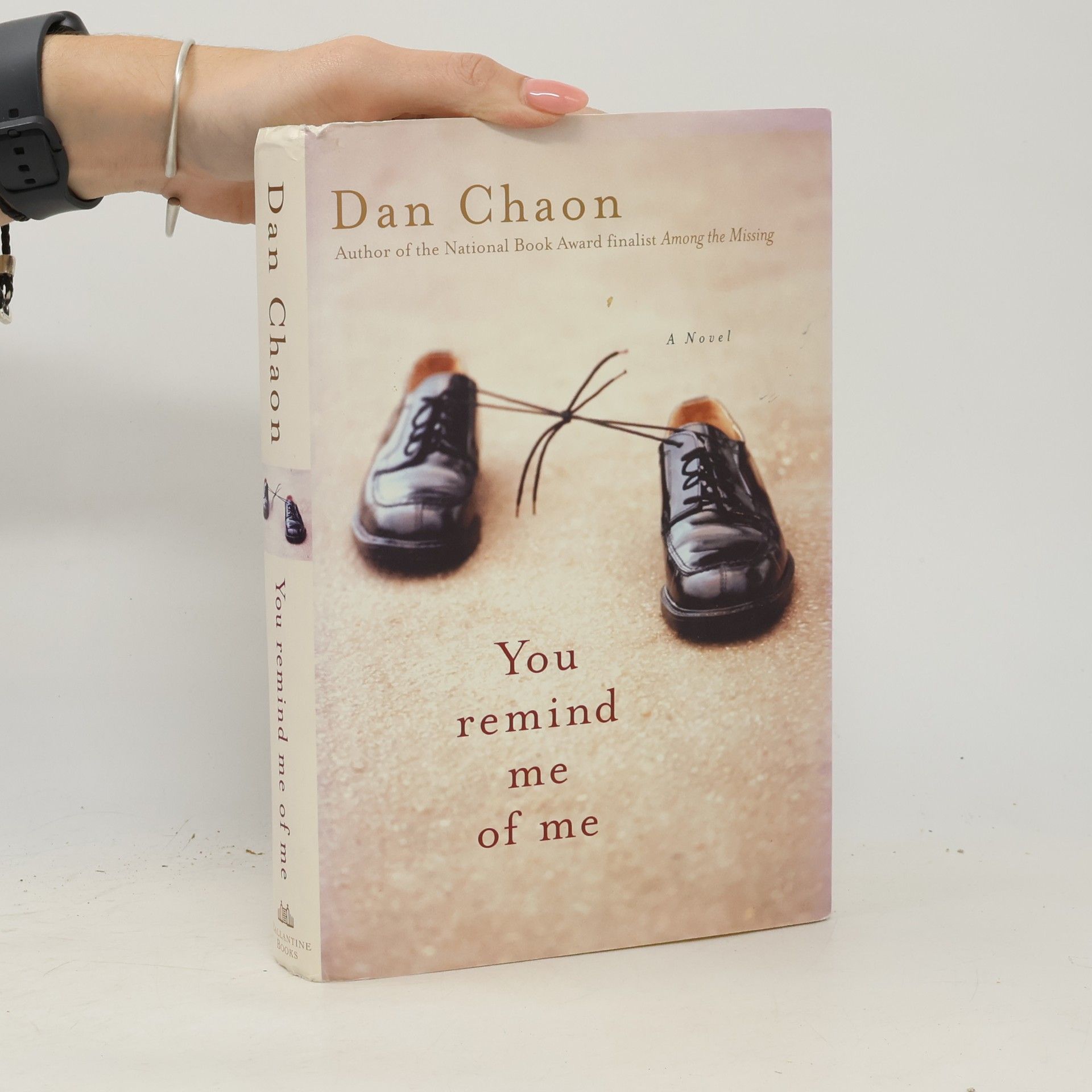 Dan Chaon You Remind Me of Me