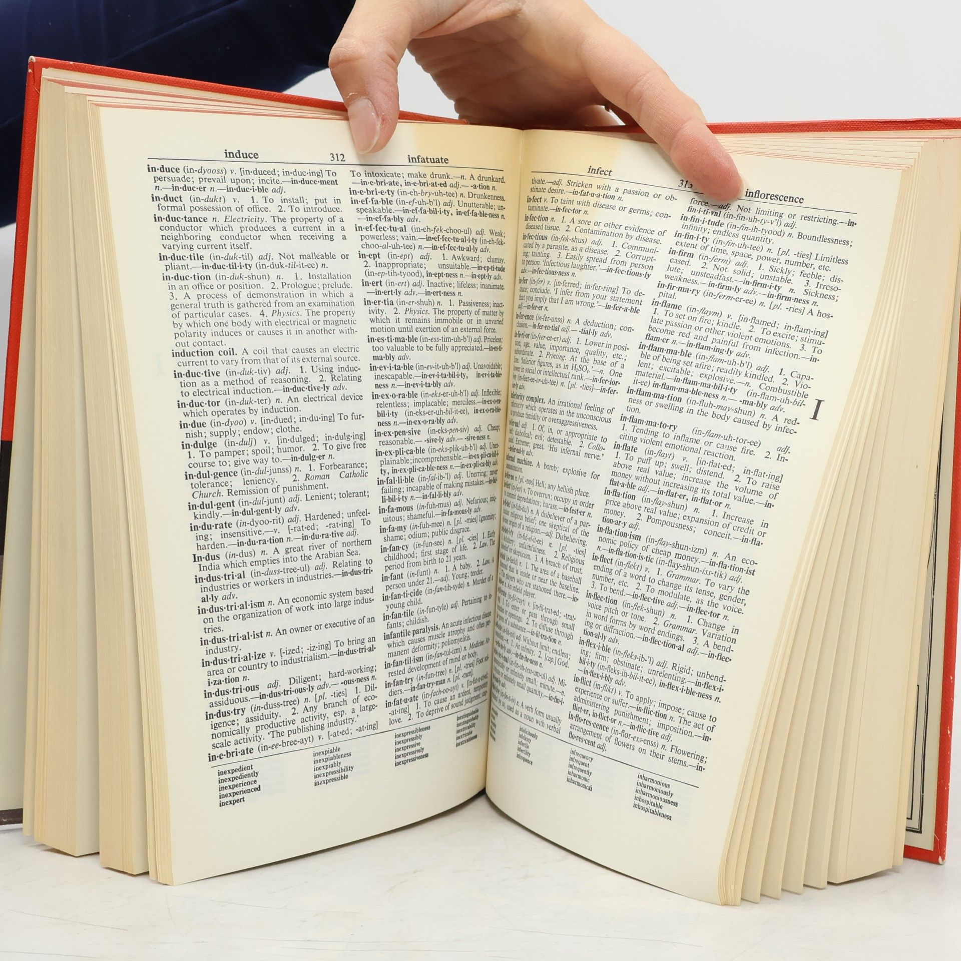 Autorenkollektiv The Grosset Webster Dictionary