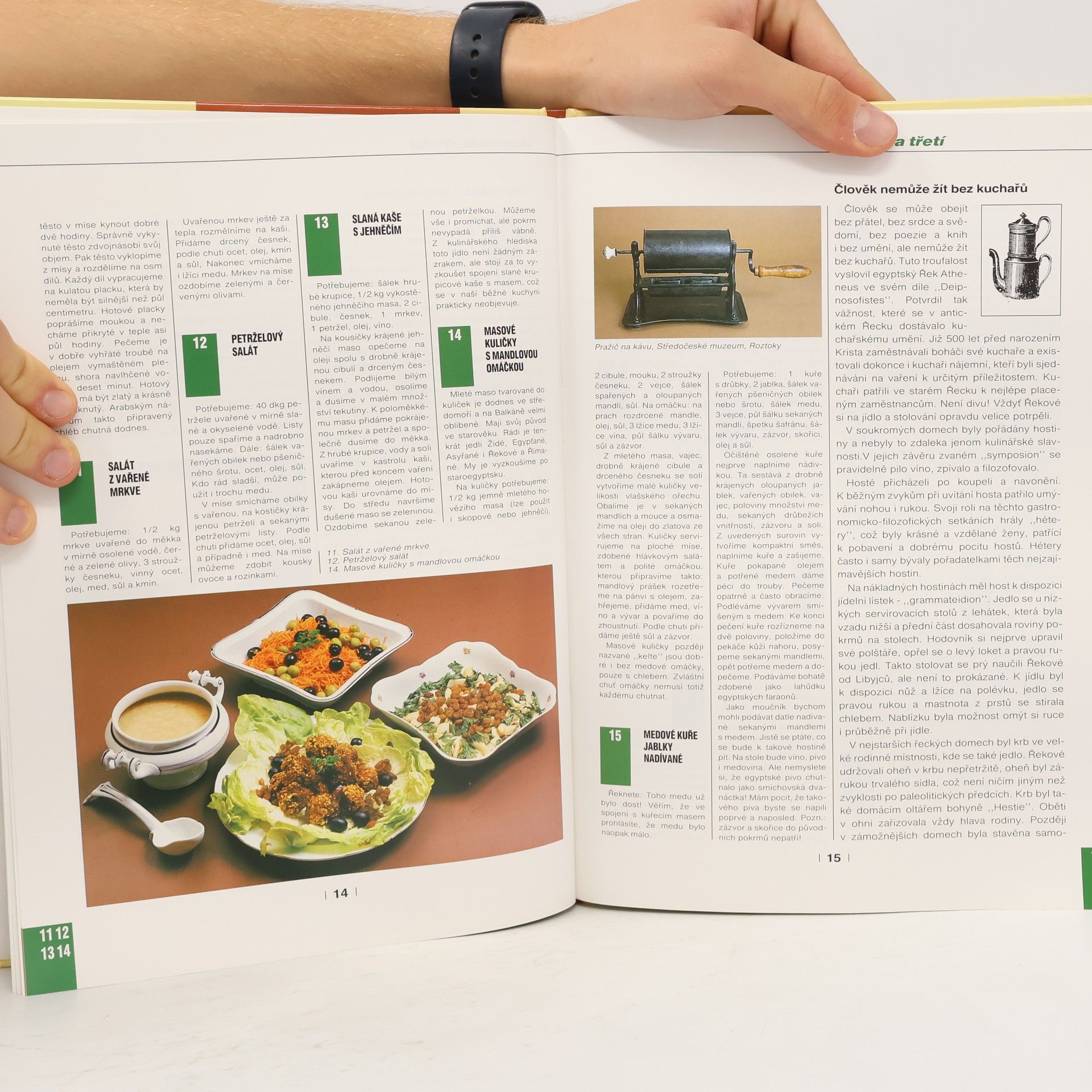 Tony Linhart Gastronomické záhady aneb Pohledy do historie kuchařského umění
