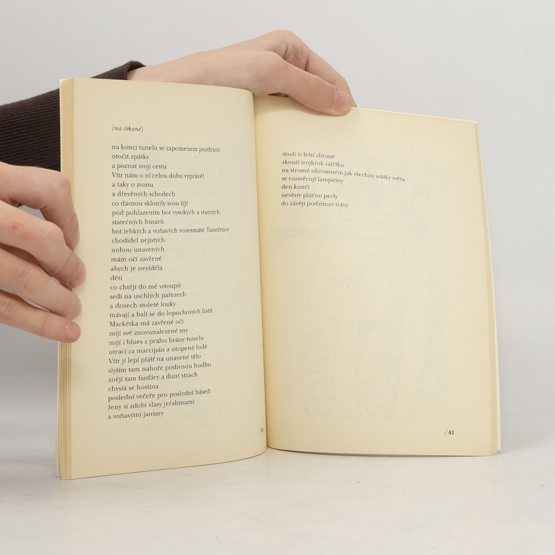 Jana Michalcová Edice poesie: Cestou divokou k pokoji