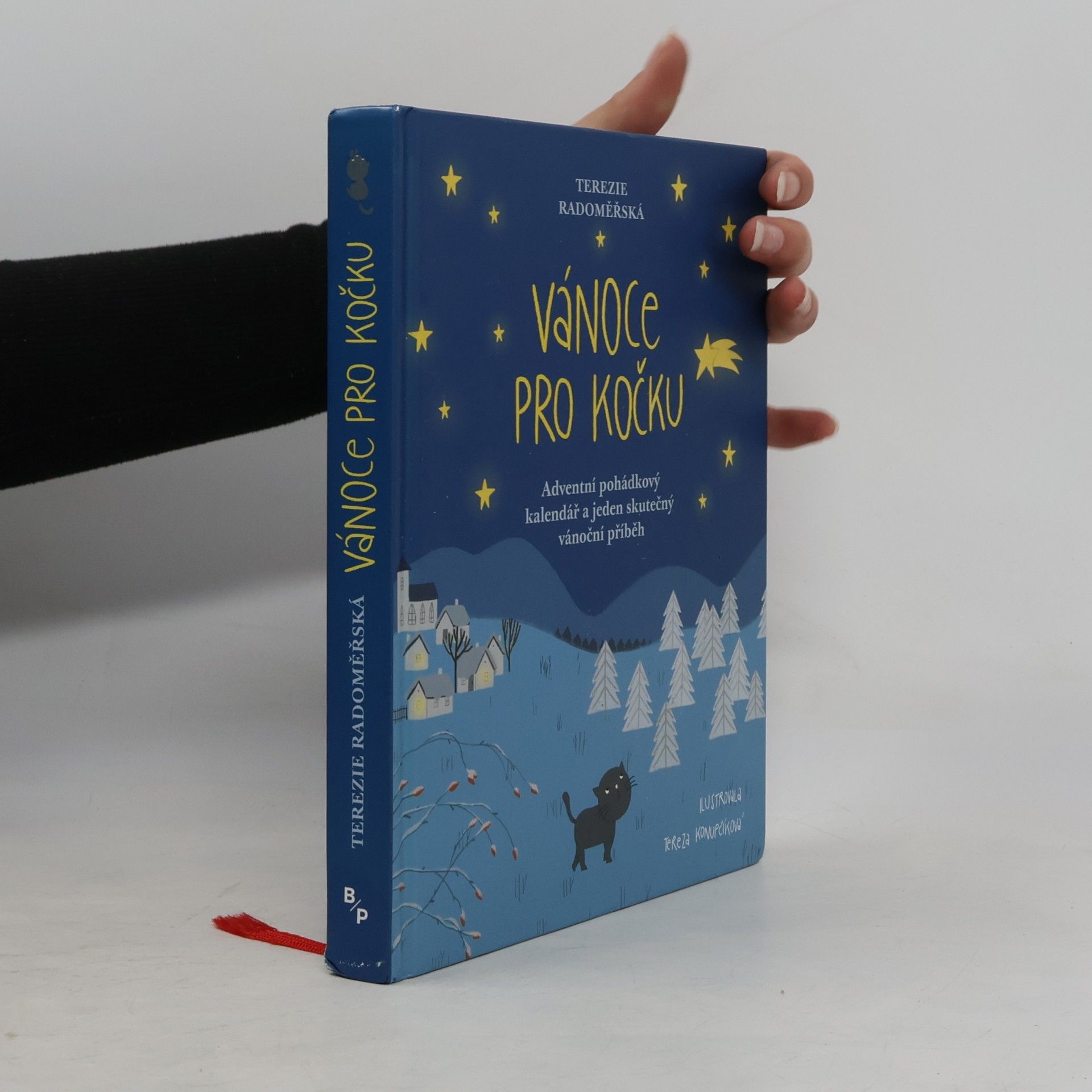 Terezie Radoměřská Vánoce pro kočku
