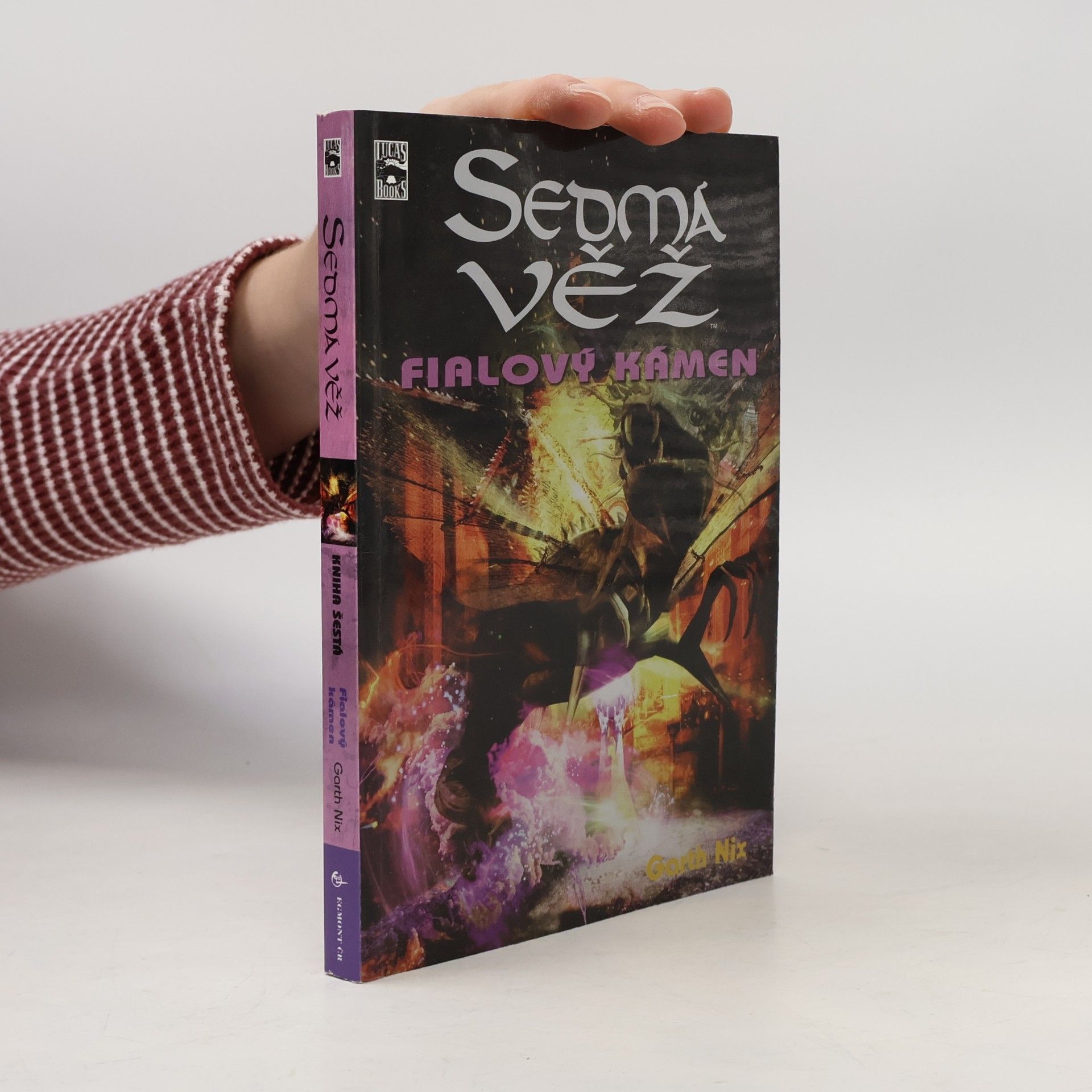 Garth Nix Fialový kámen