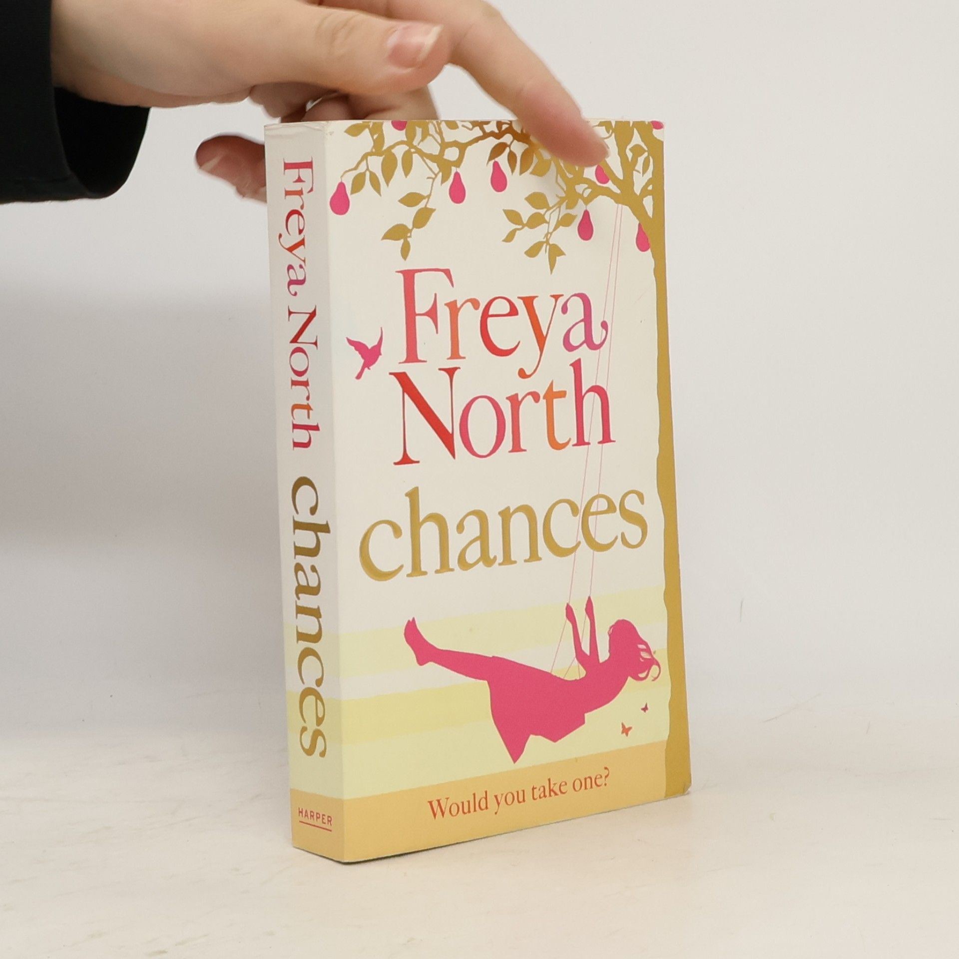 Freya North Chances