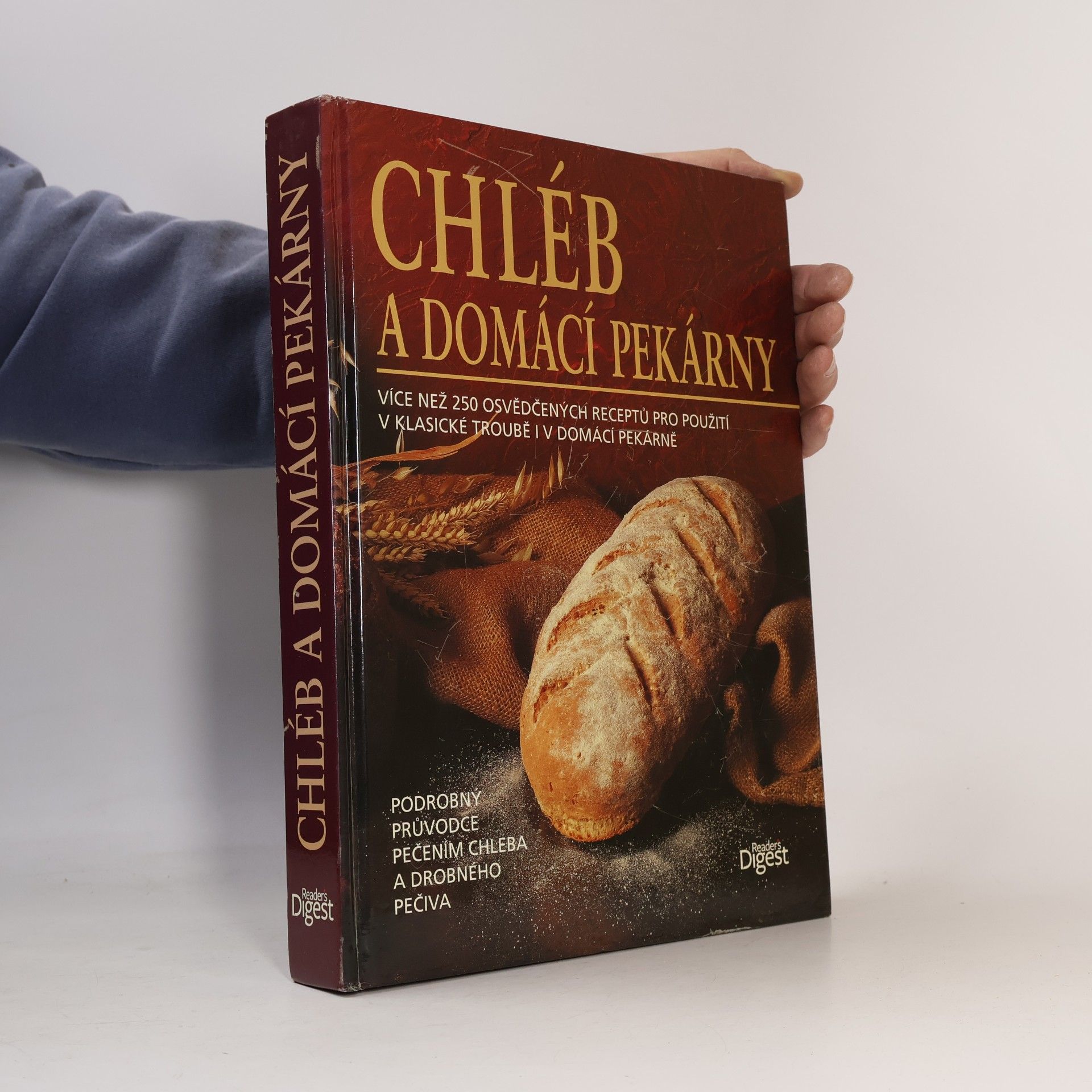Autorenkollektiv Chléb a domácí pekárny