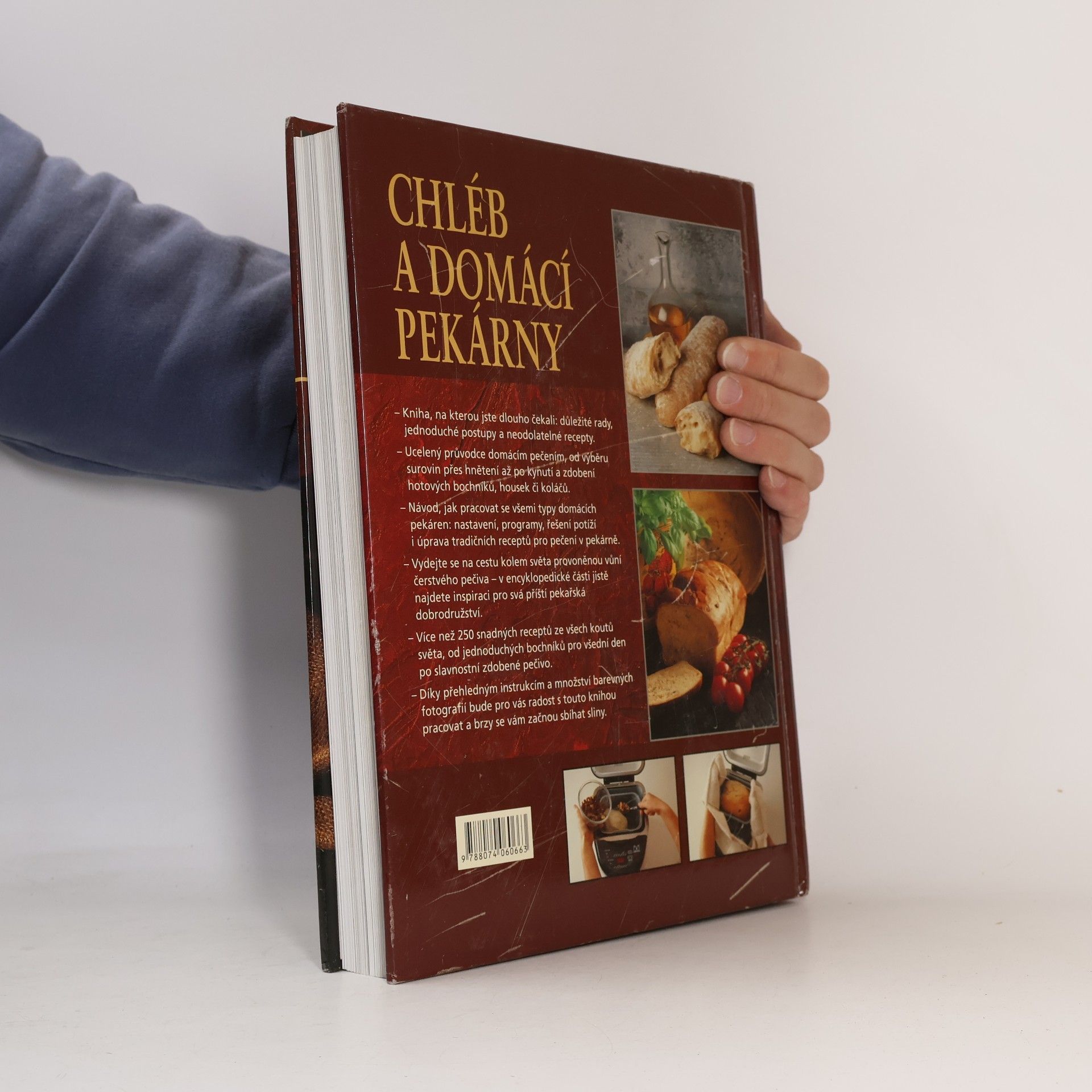 Autorenkollektiv Chléb a domácí pekárny