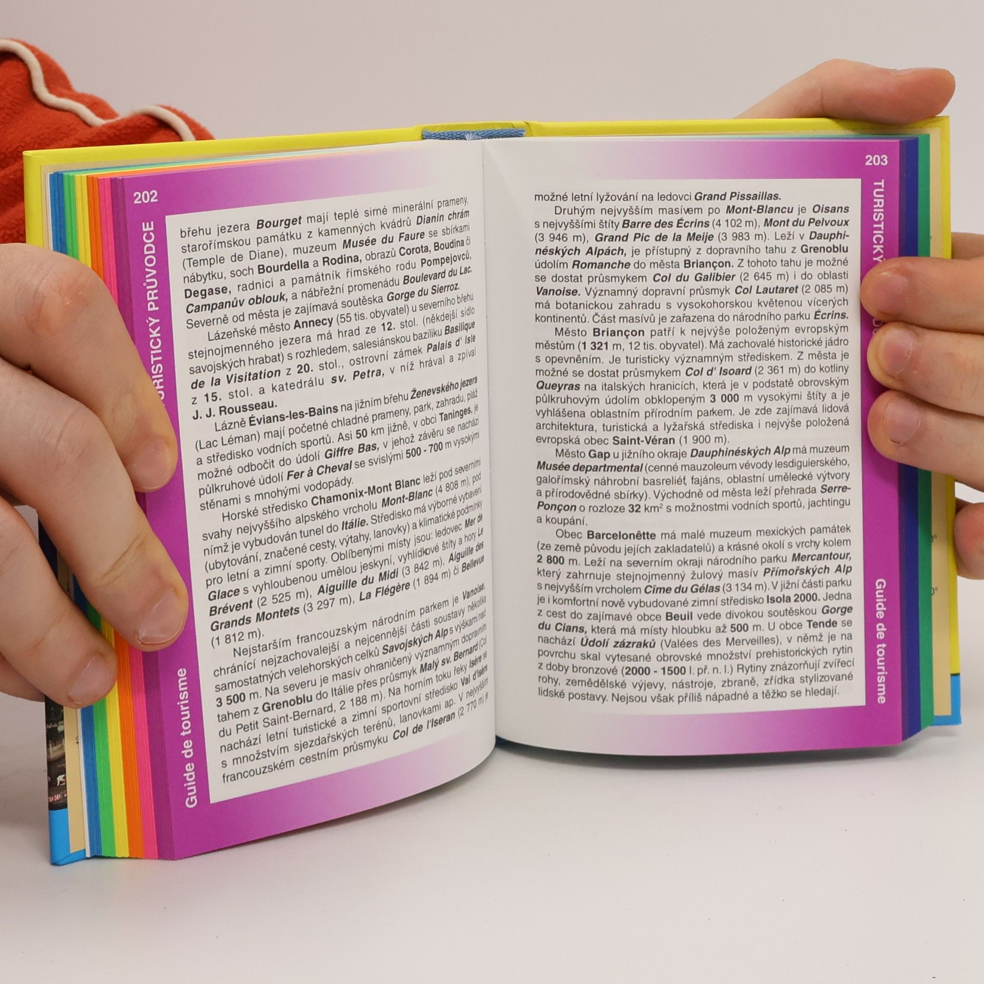 Pavlína Vaňková Francouzština : conversation & dictionnaire tchèque-français : konverzace - turistický průvodce - gramatika - slovník