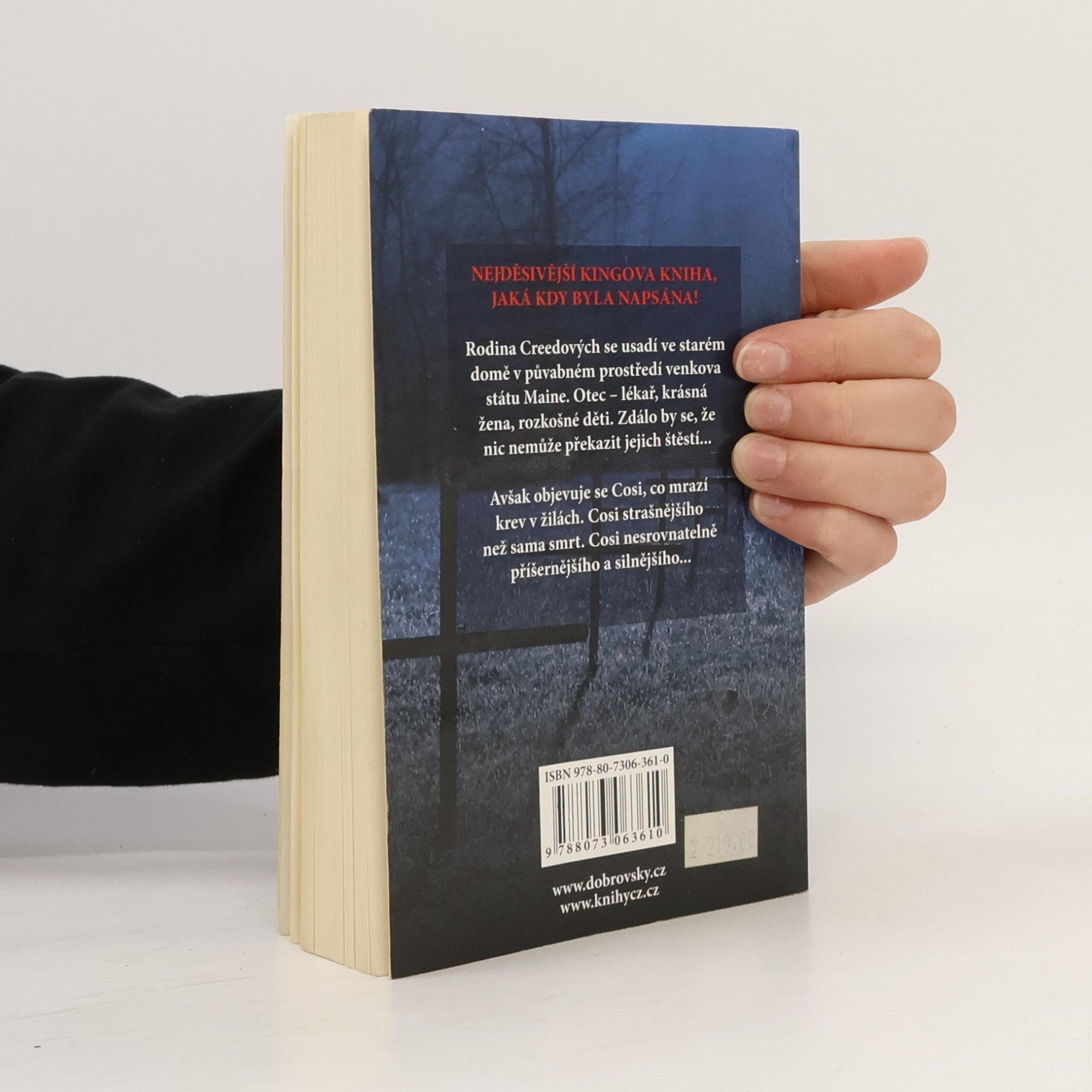 Stephen King Řbitov zviřátek