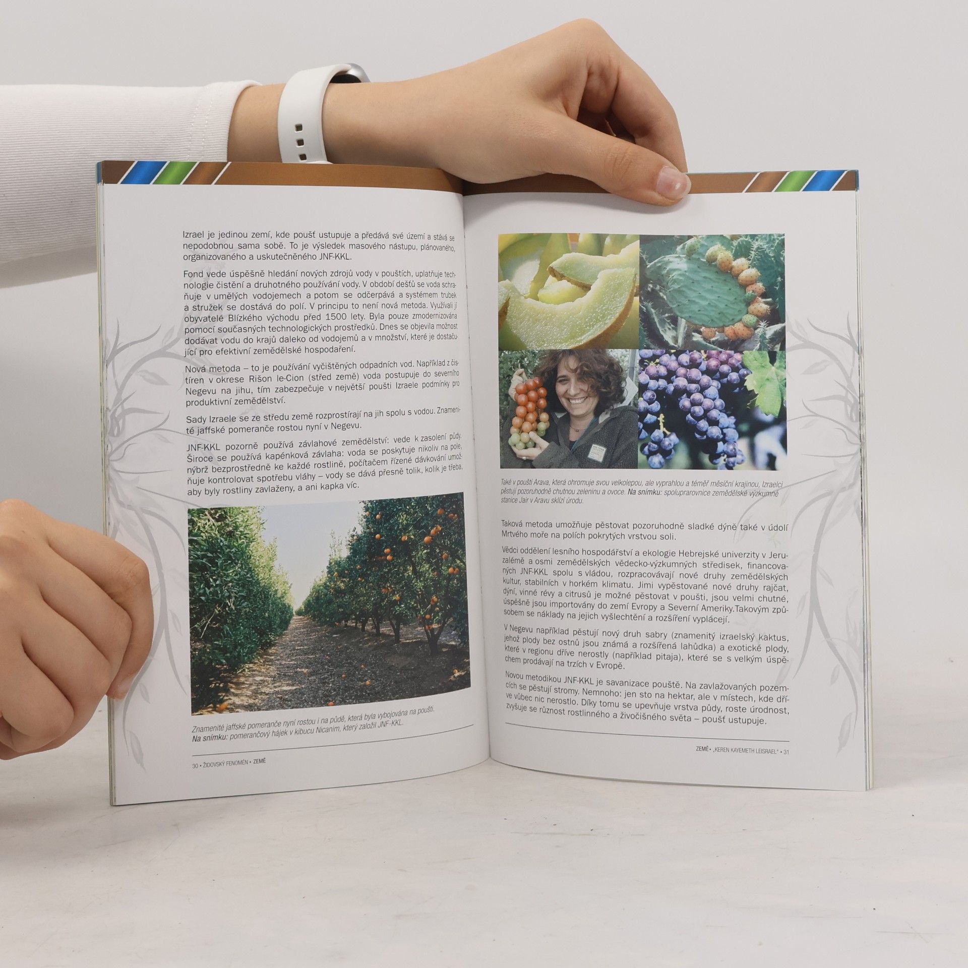 Various authors Židovský fenomén "Keren Kayemeth Leisrael"