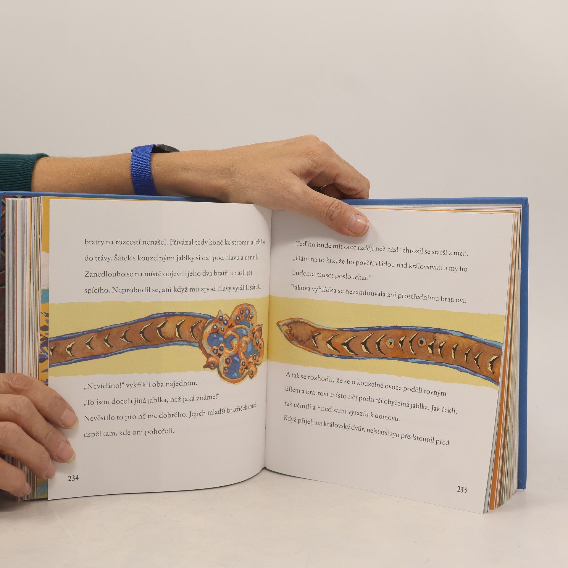 Renáta Fučíková Keltské pohádky : [z francouzských literárních zdrojů]