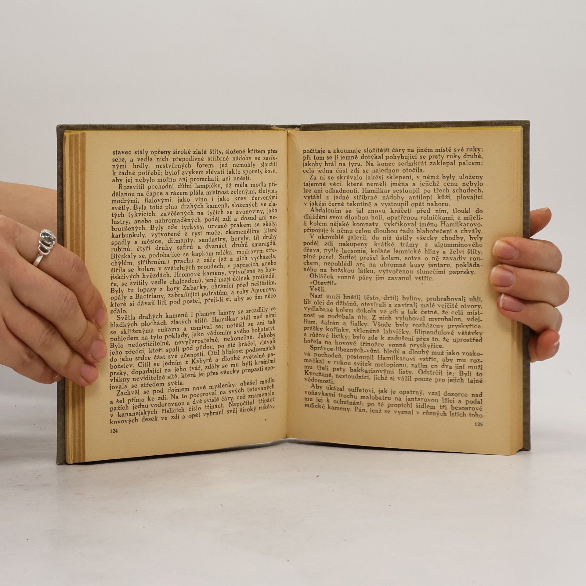 Gustave Flaubert Salambo 1