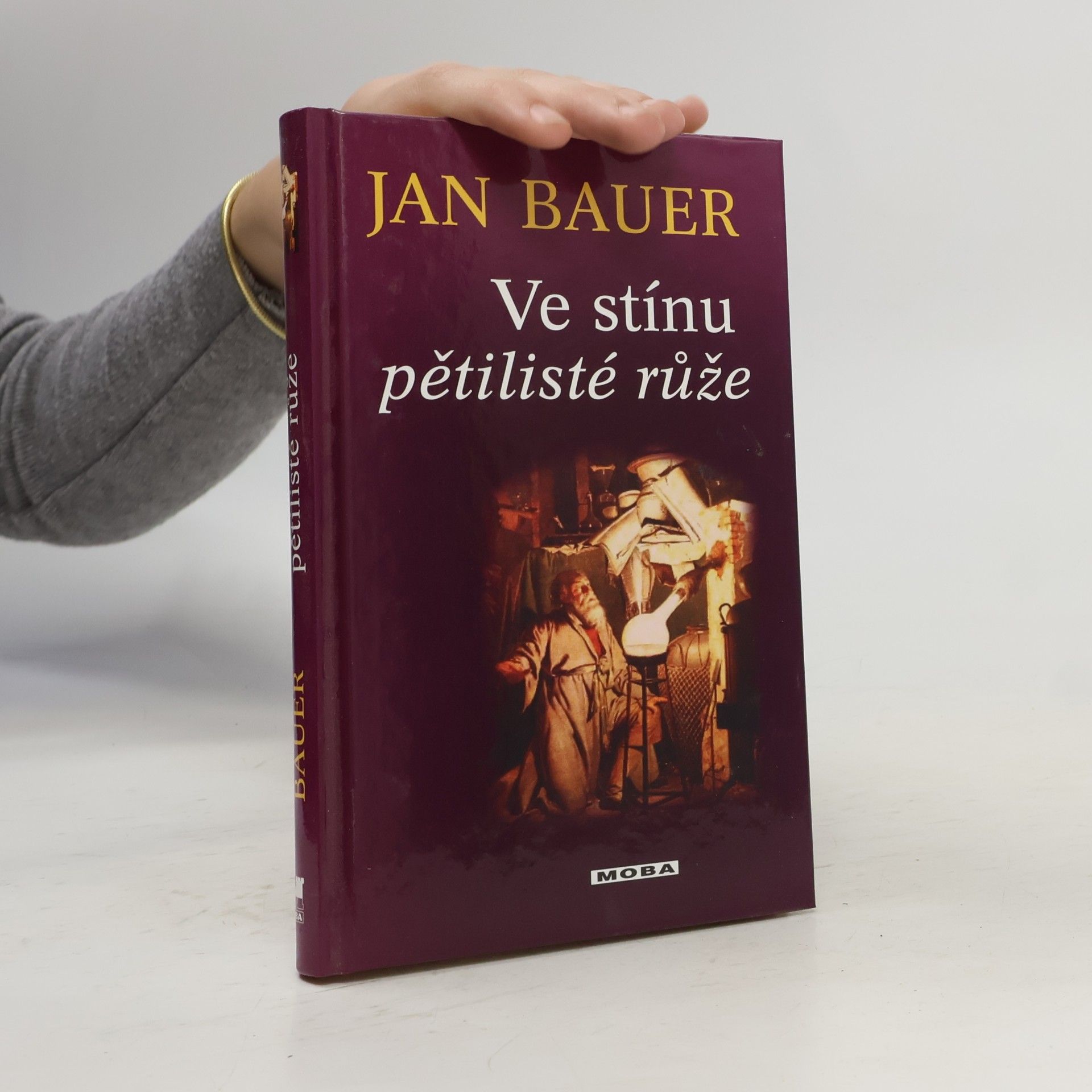 Jan Bauer Ve stínu pětilisté růže