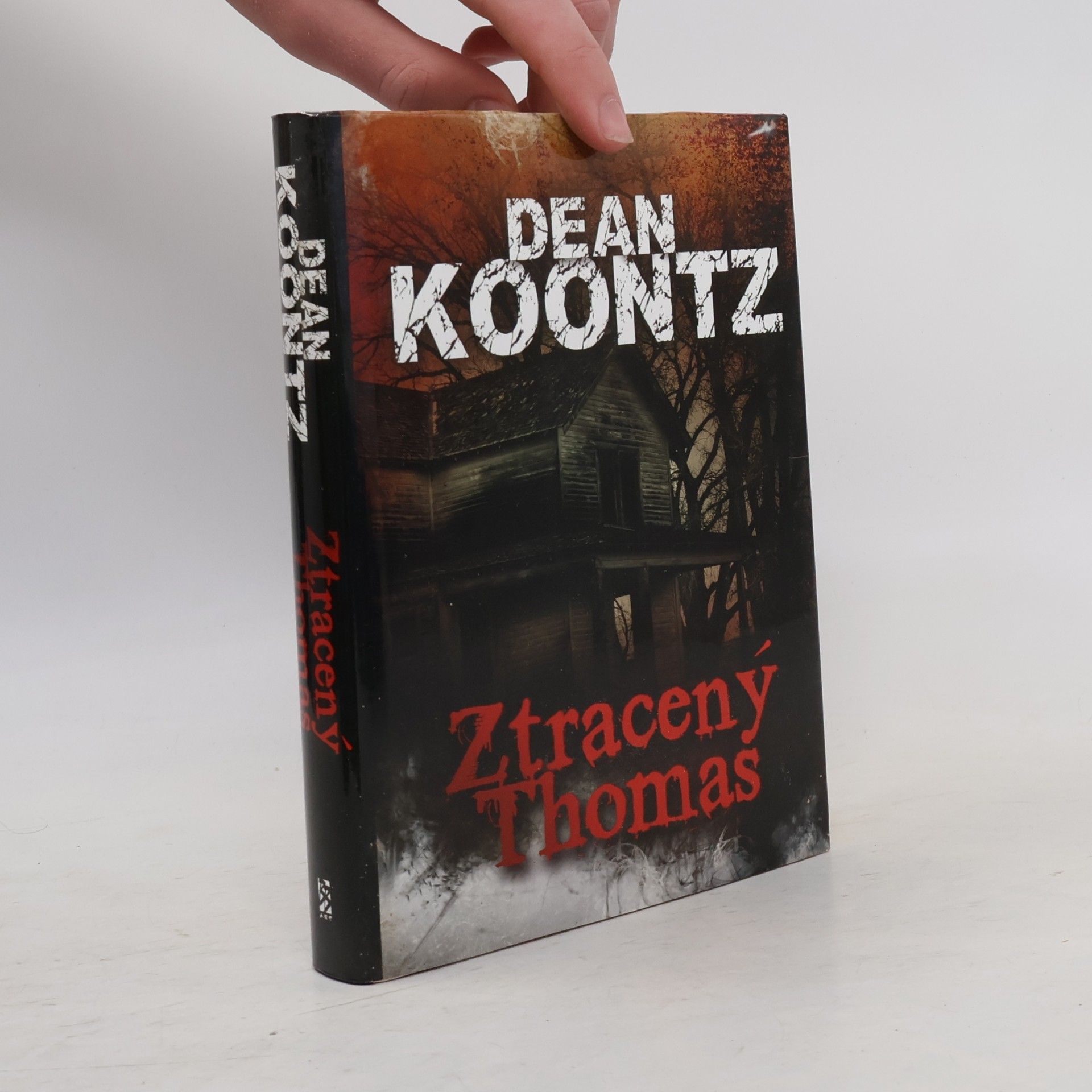 Dean Ray Koontz Ztracený Thomas