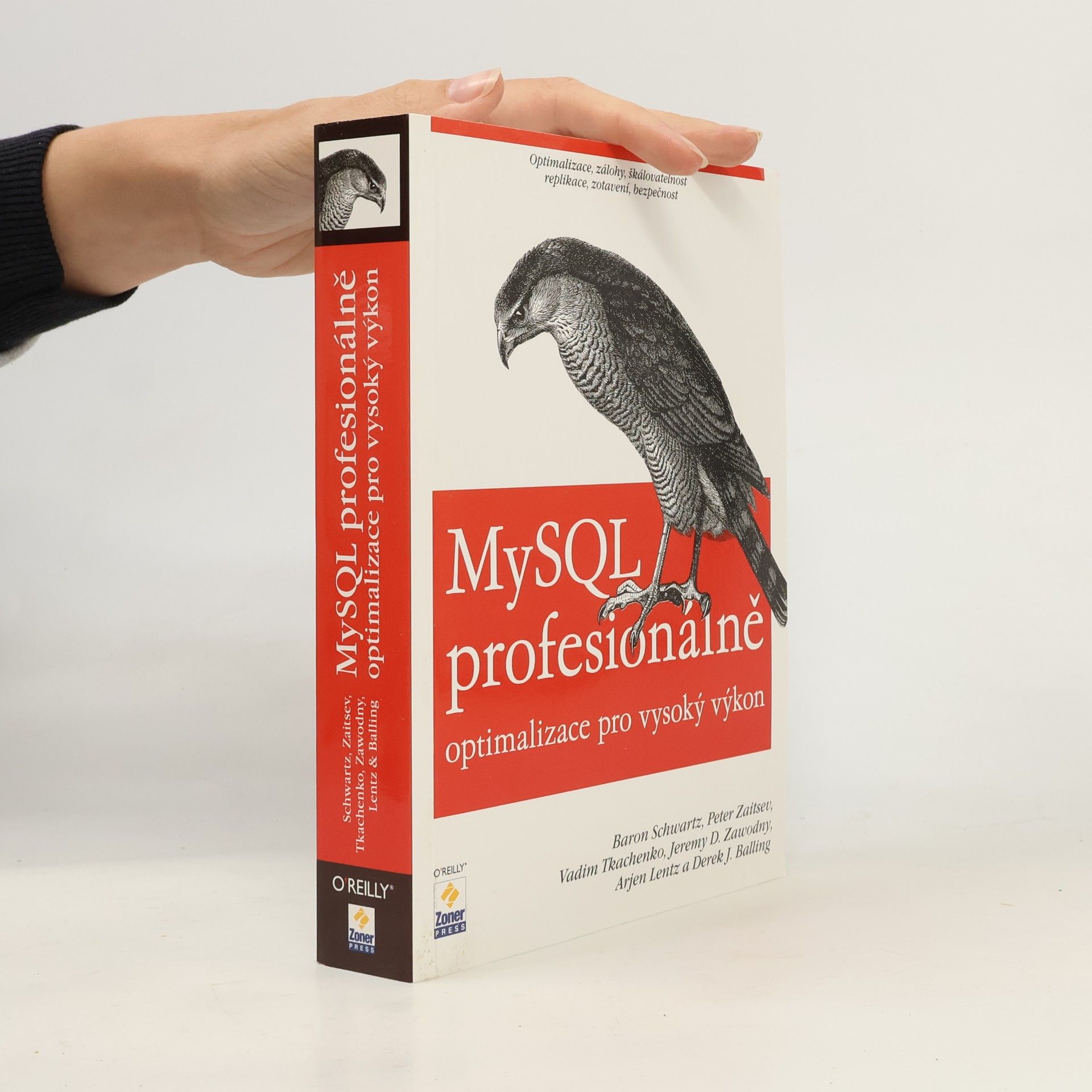 Autorenkollektiv MySQL profesionálně. Optimalizace pro vysoký výkon