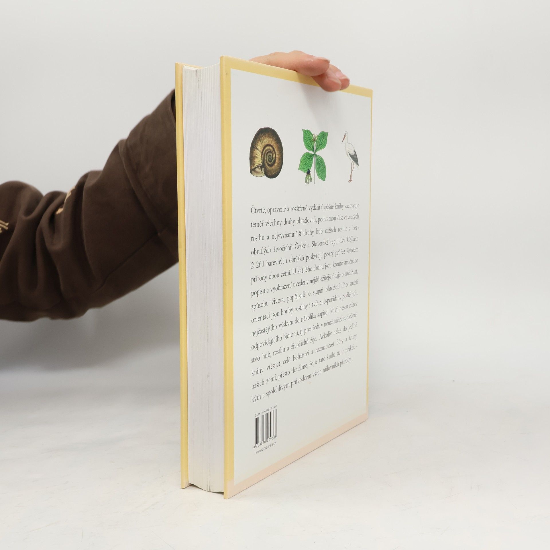 Autorenkollektiv Příroda v České a Slovenské republice