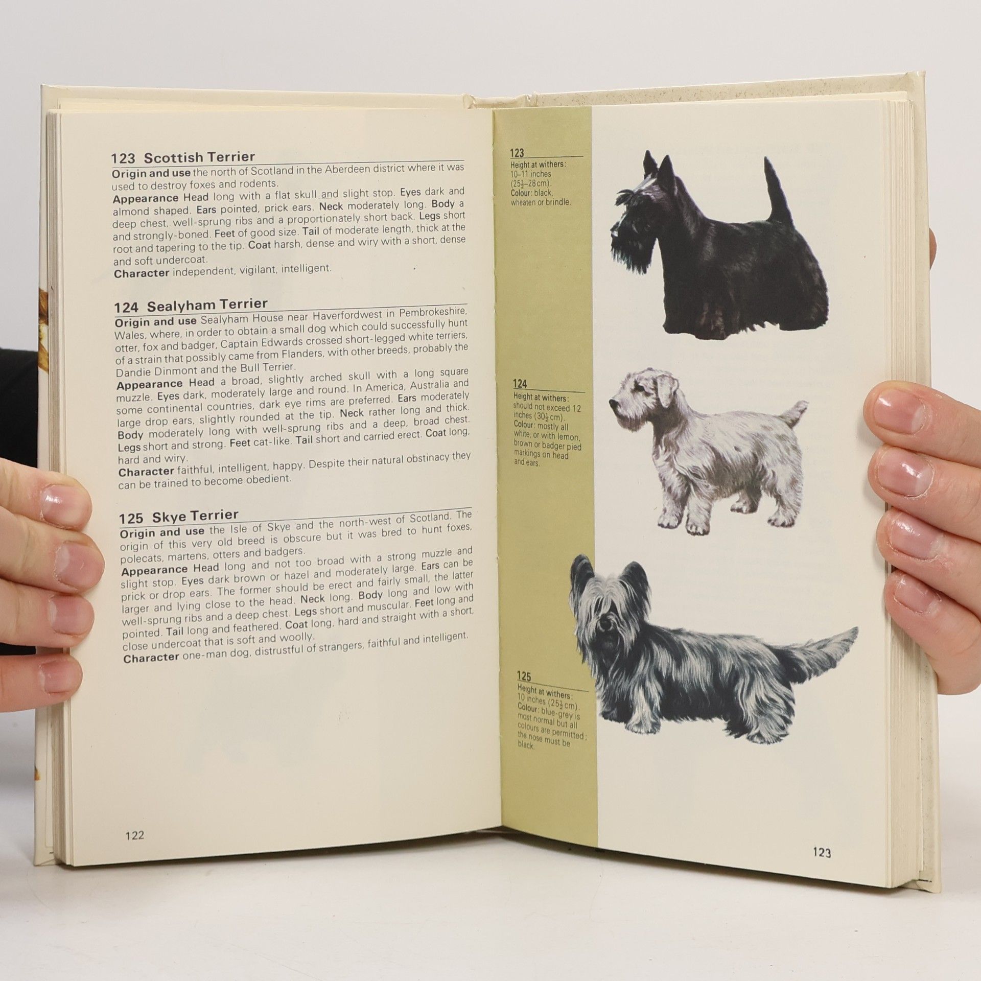 Anne GondrexonIves Browne Guide to the dogs of the world