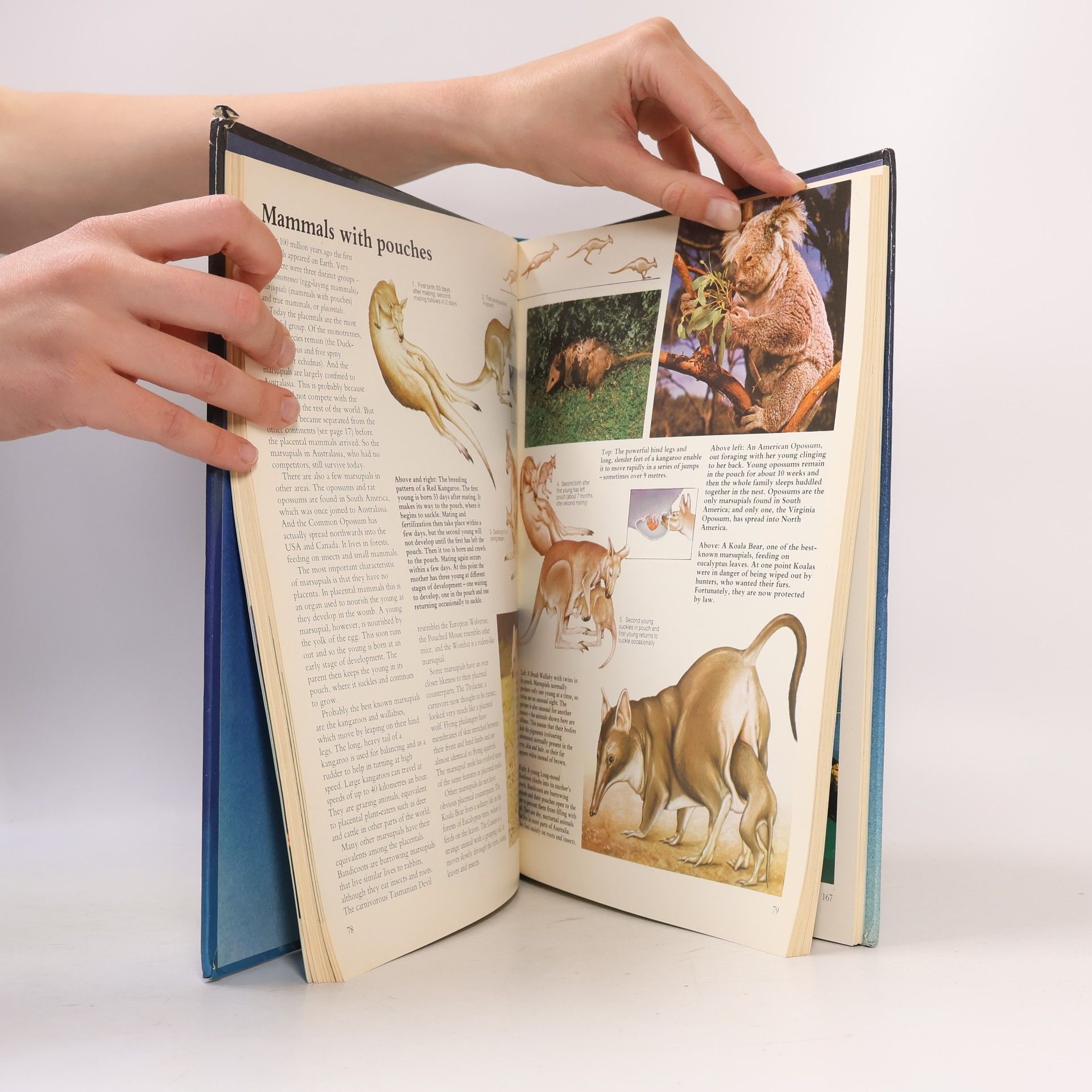 Mark Lambert All Colour Book of Science Facts