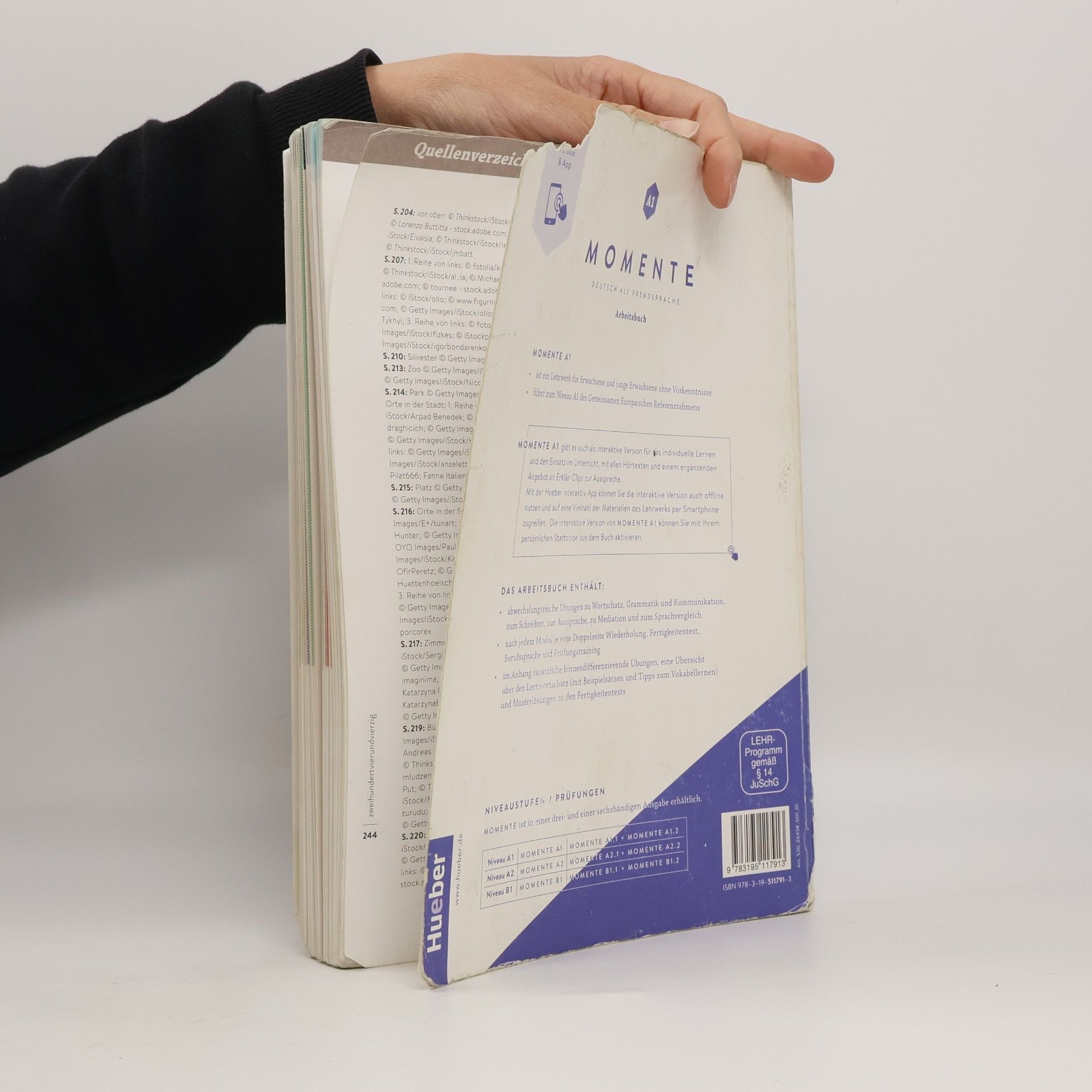 Angela Pude Momente : Deutsch als Fremdsprache. Arbeitsbuch plus interaktive Version