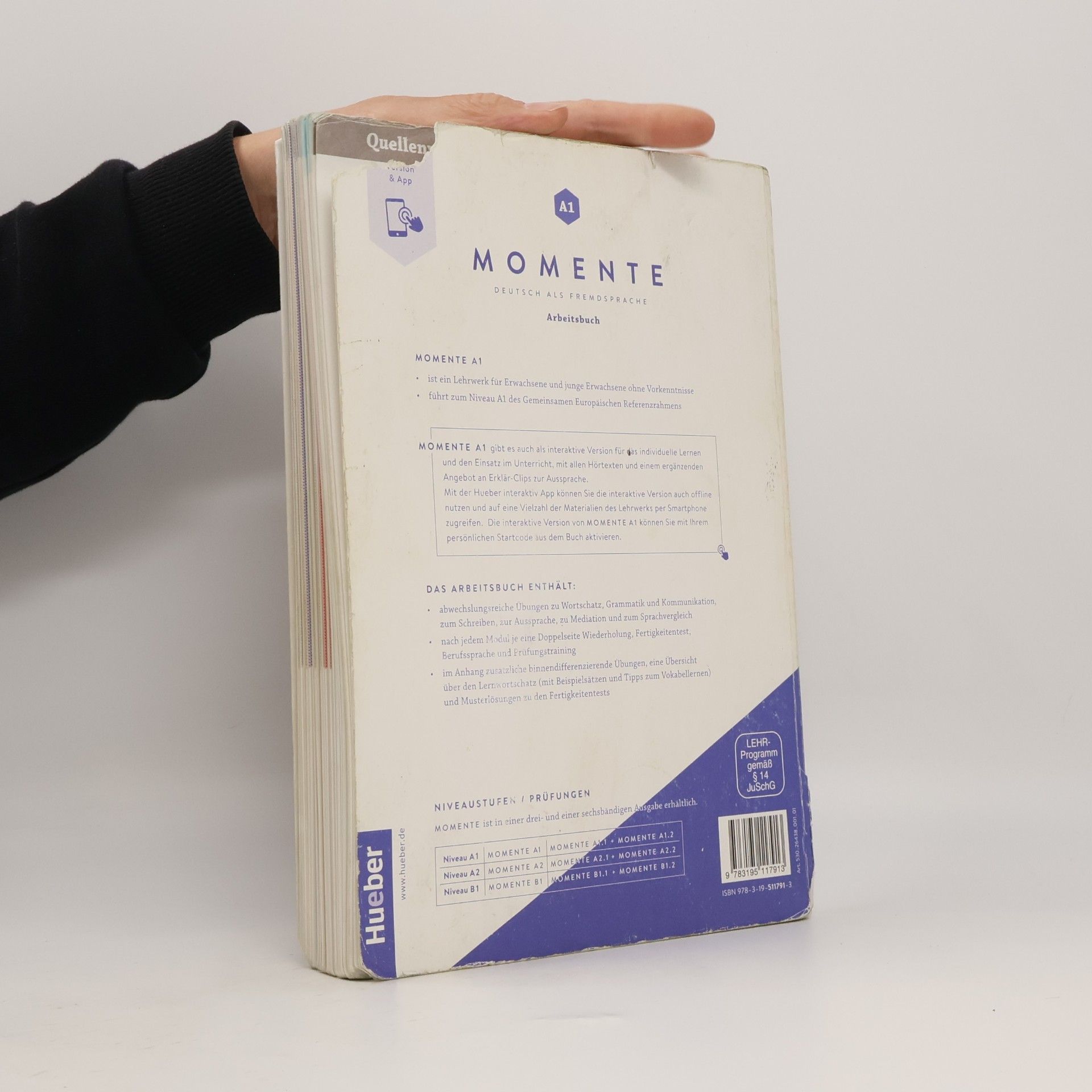 Angela Pude Momente : Deutsch als Fremdsprache. Arbeitsbuch plus interaktive Version