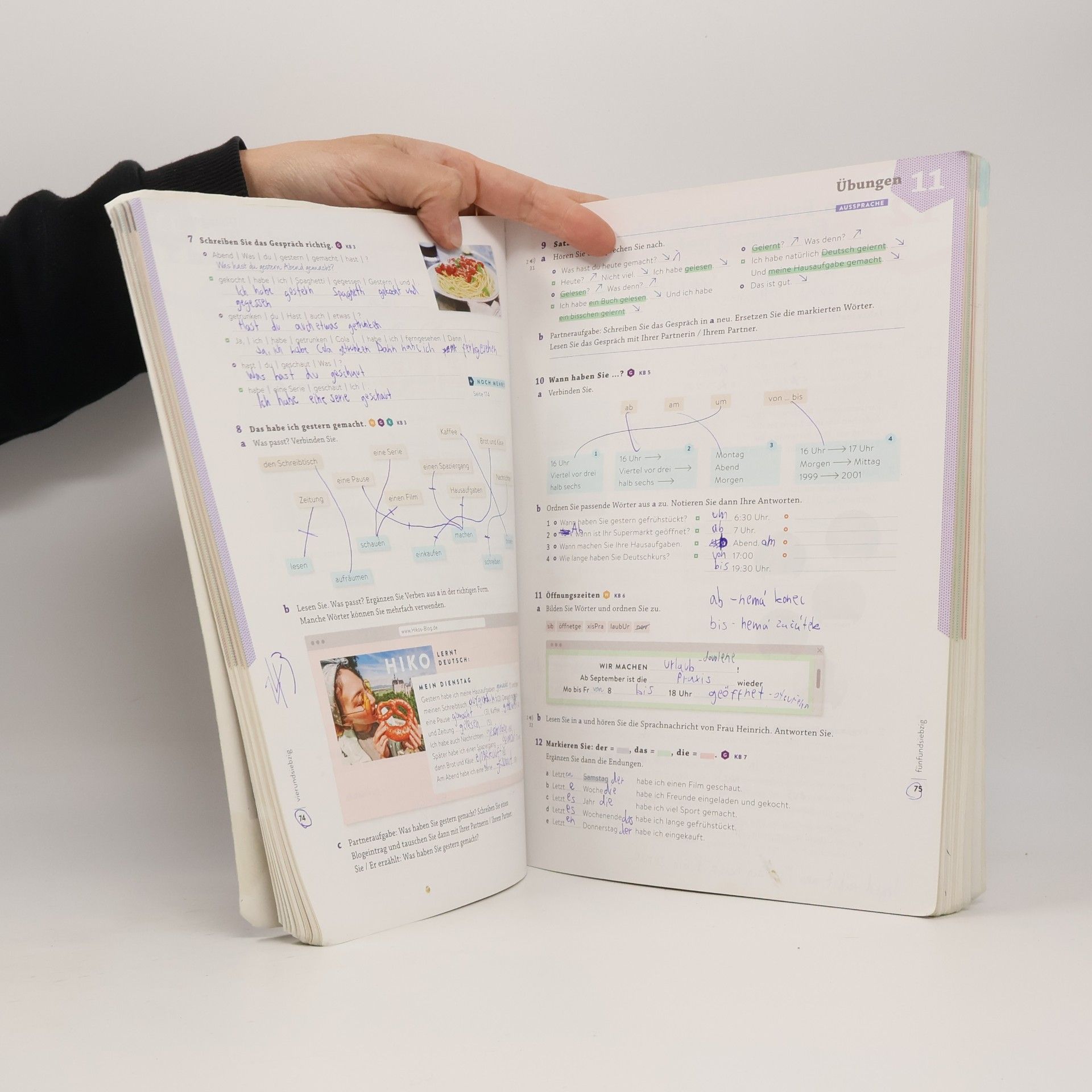 Angela Pude Momente : Deutsch als Fremdsprache. Arbeitsbuch plus interaktive Version