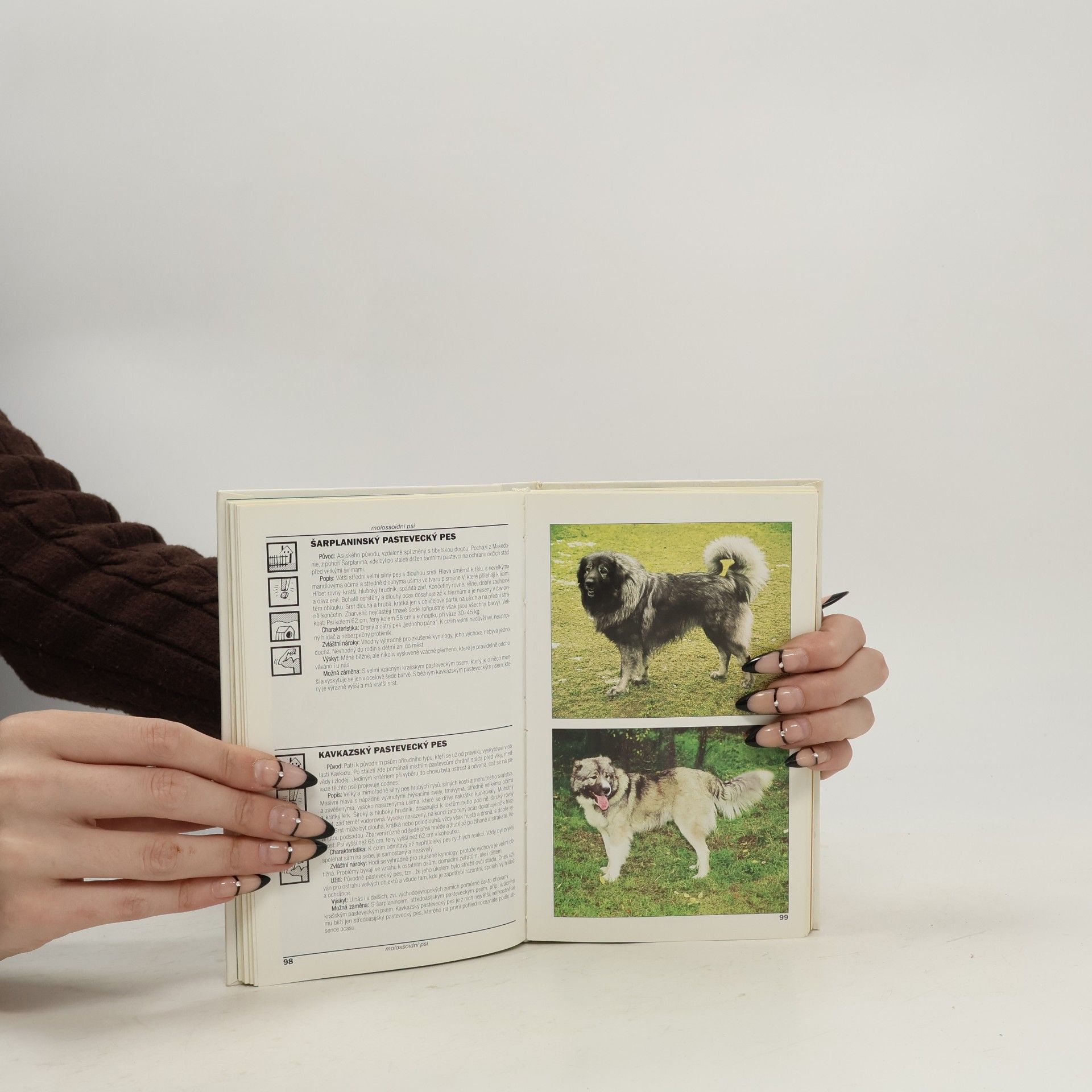 Lea Smrčková Kapesní atlas psů