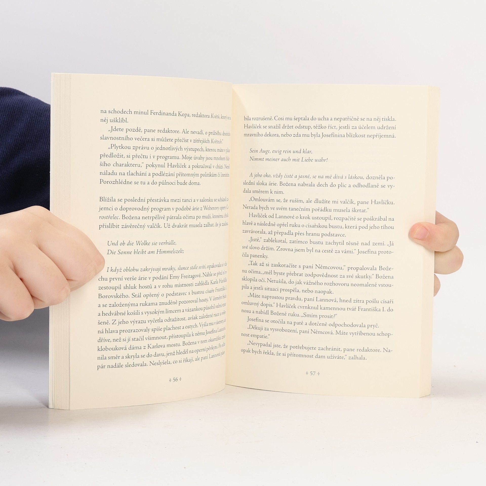 Karolína Meixnerová Národní opruzení