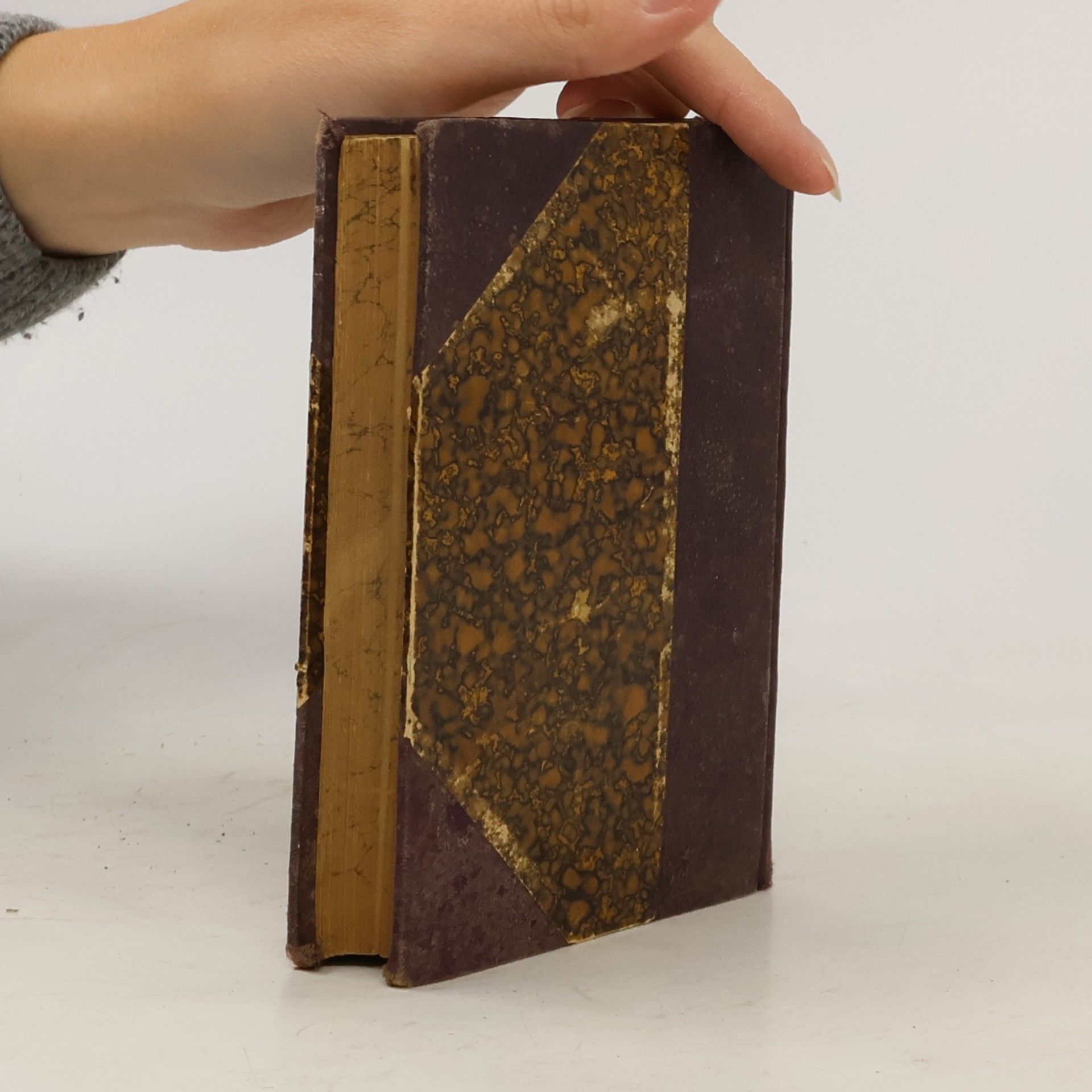 Flammarion Pouť nebeská; Fysikální zeměpis