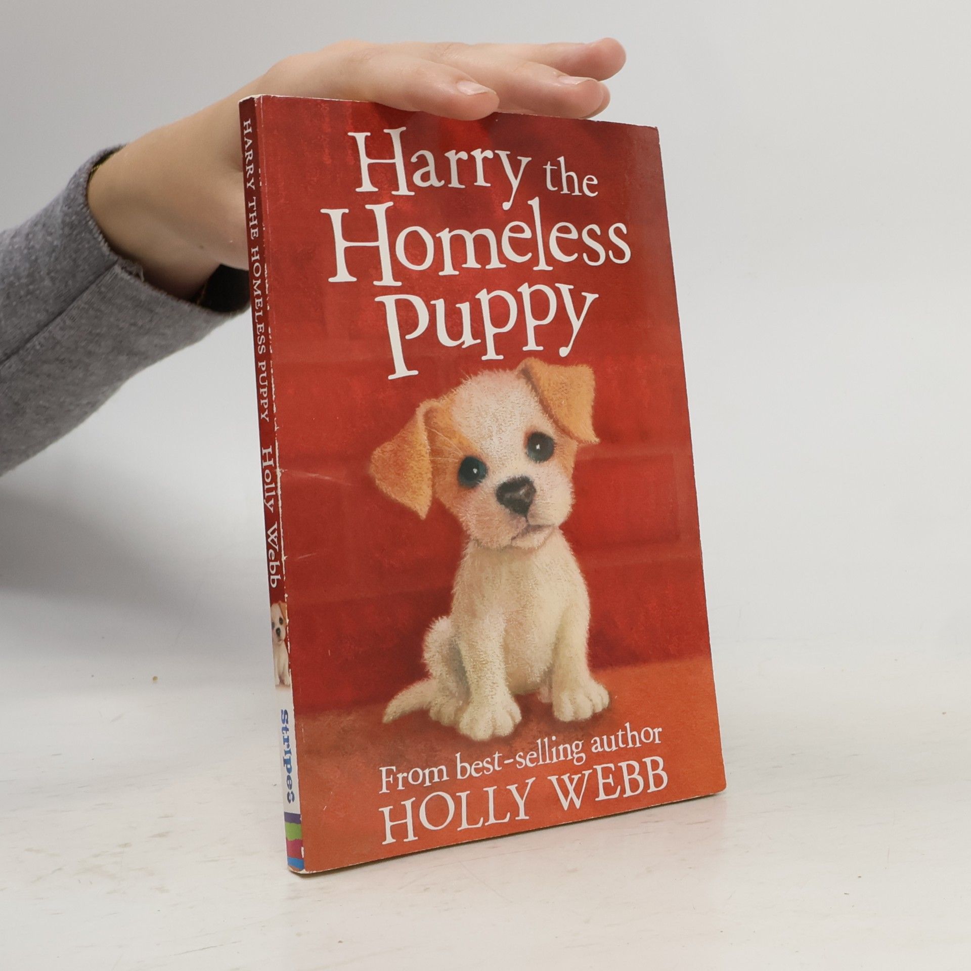 Holly Webb Holly Webb Animal Stories - 9: Harry the Homeless Puppy