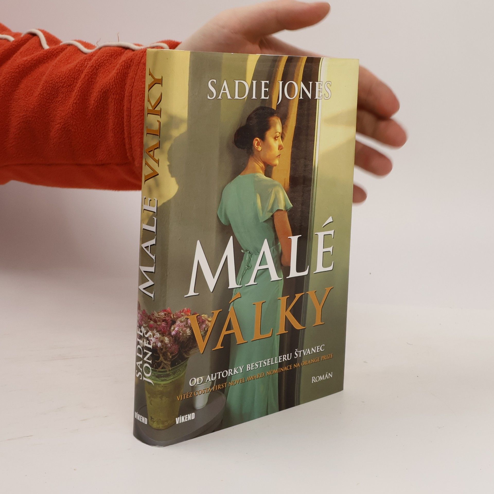 Sadie Jones Malé války