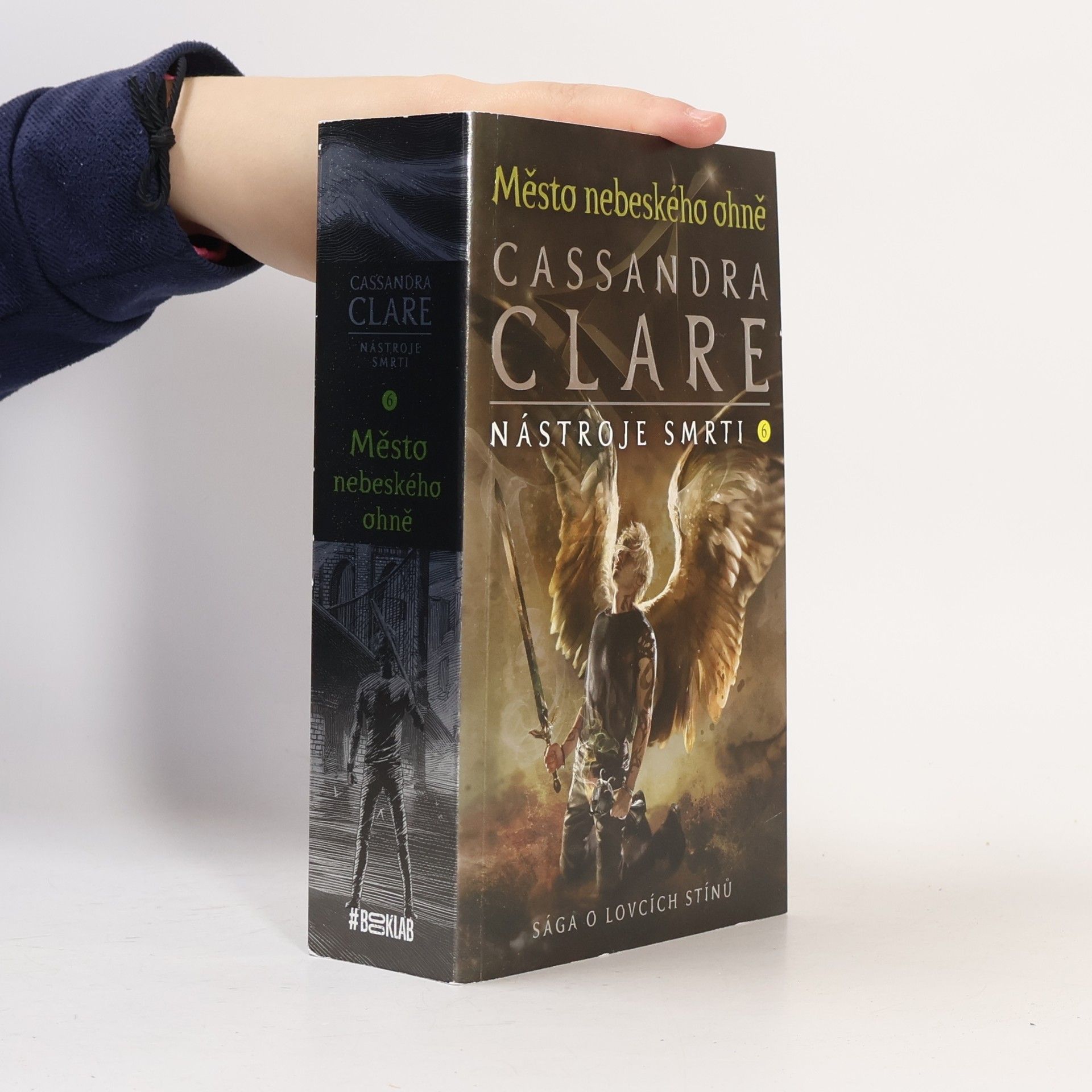 Cassandra Clare Nástroje smrti 6: Město nebeského ohně