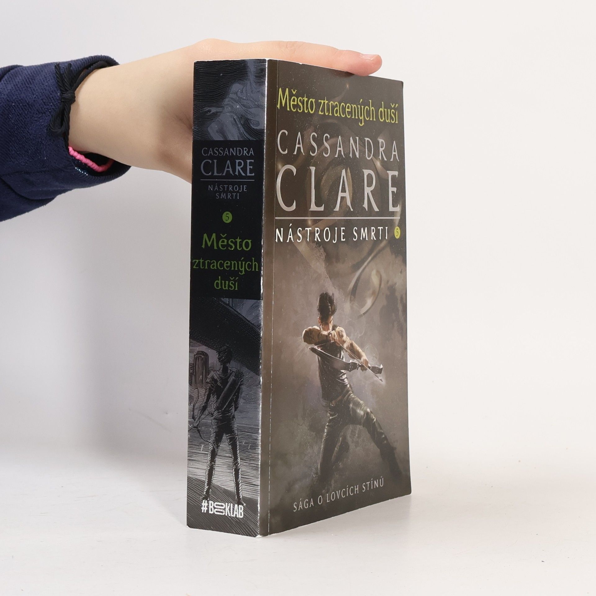 Cassandra Clare Nástroje smtri 5. Město ztracených duší