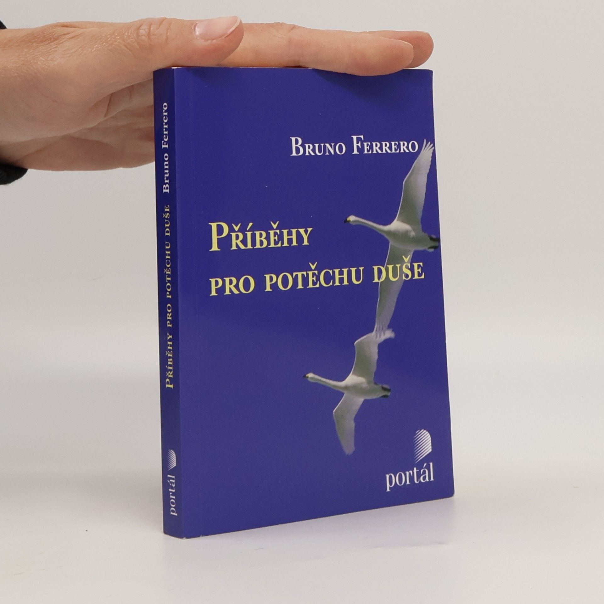 Bruno Ferrero Příběhy pro potěchu duše