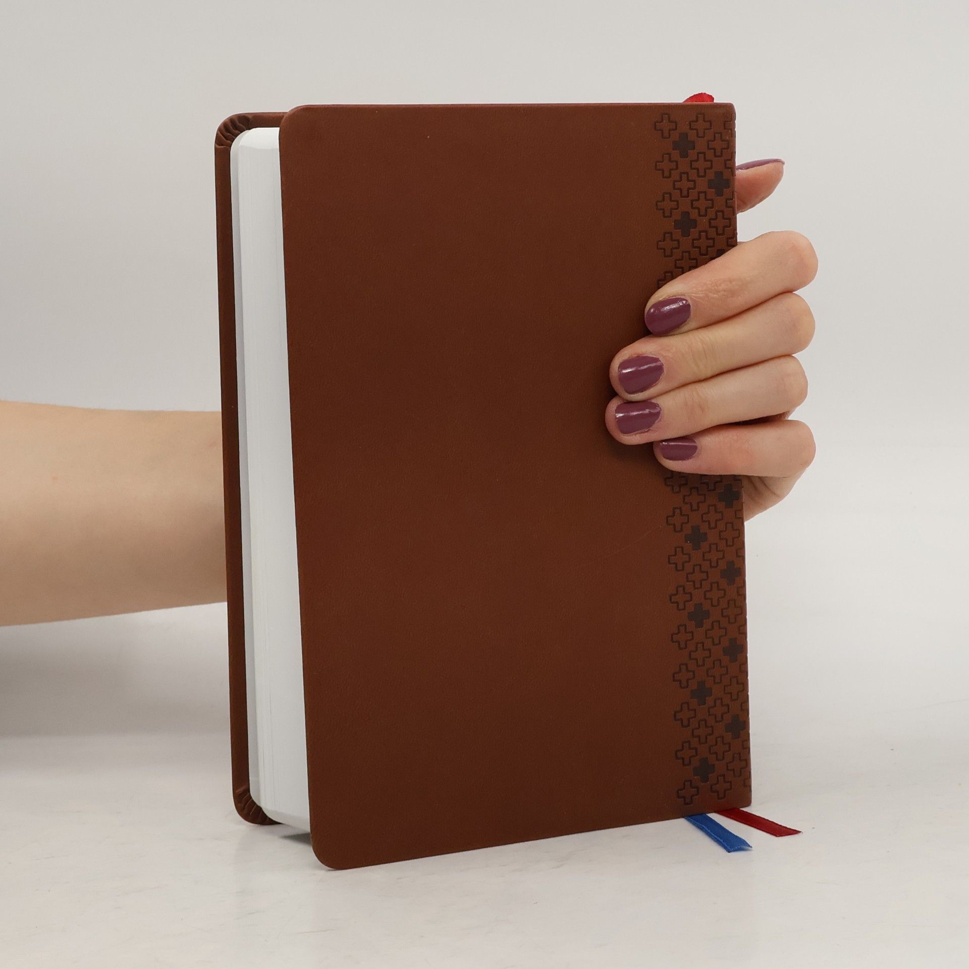 AA.VV. Biblia - Slovenský ekumenický preklad (hnedá) štandardný formát