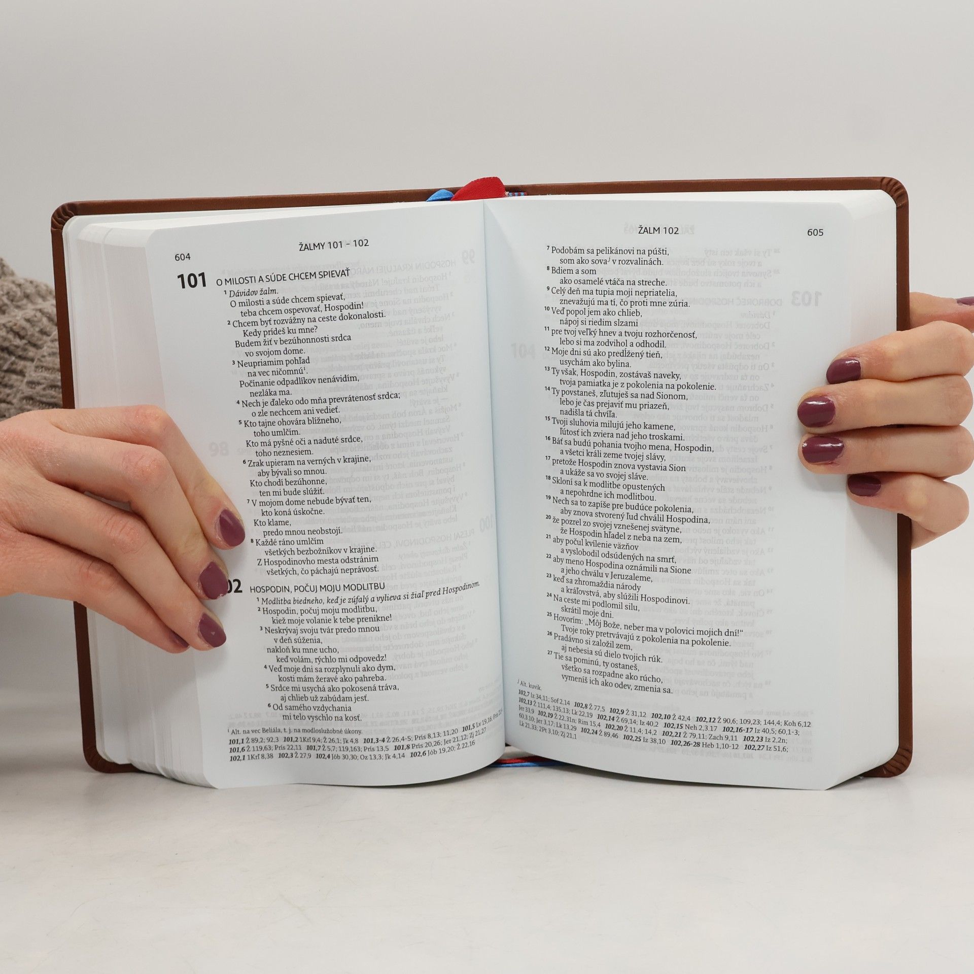 AA.VV. Biblia - Slovenský ekumenický preklad (hnedá) štandardný formát