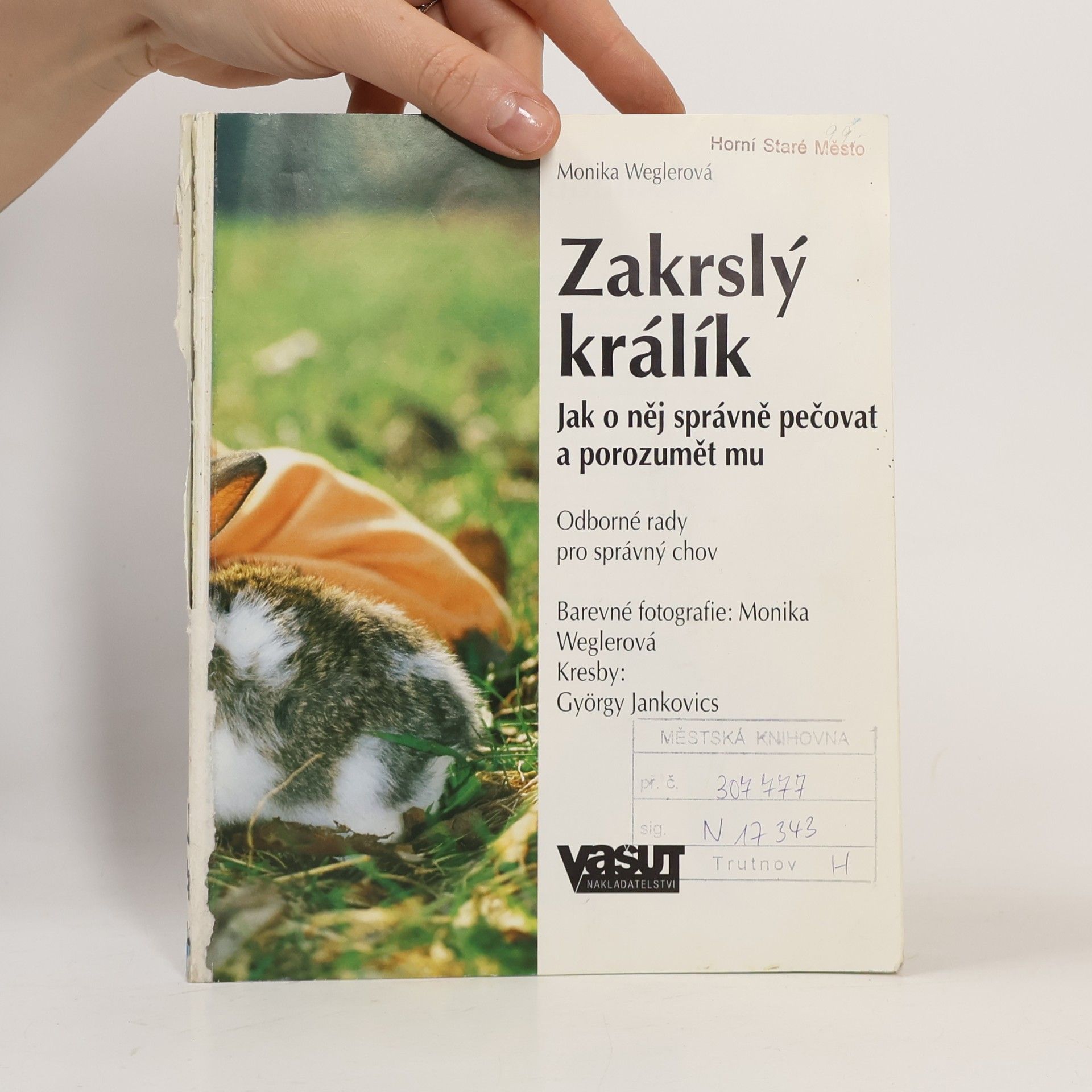 Monika Weglerová Zakrslý králík