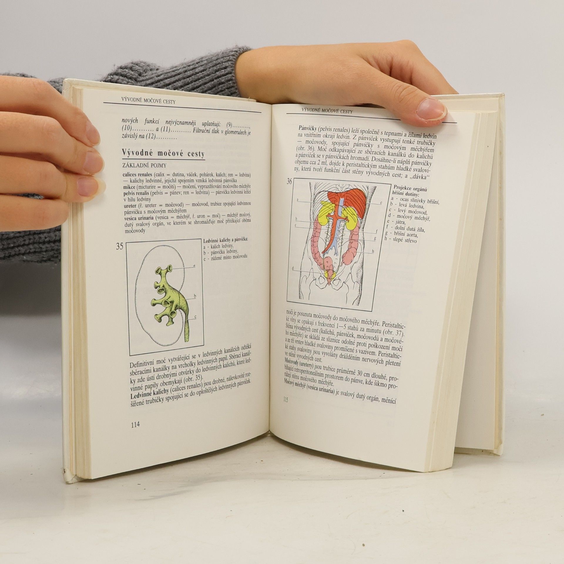 Ivan Dylevský Somatologie 1-2