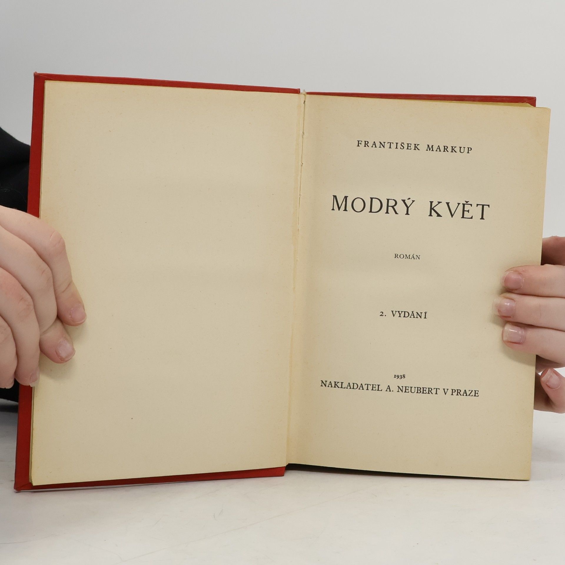 František Markup Modrý květ