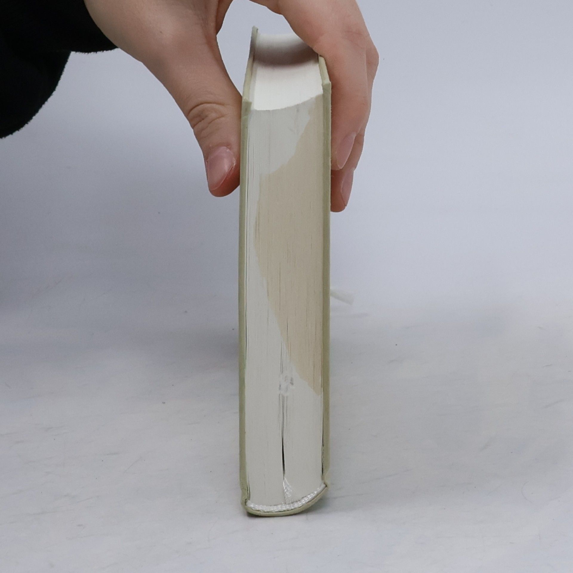 Charlotte Wood Tage mit mir