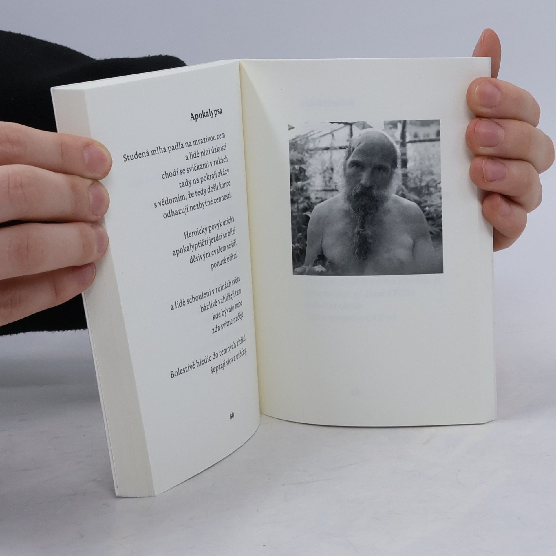 František Klišík Moucha v jantaru