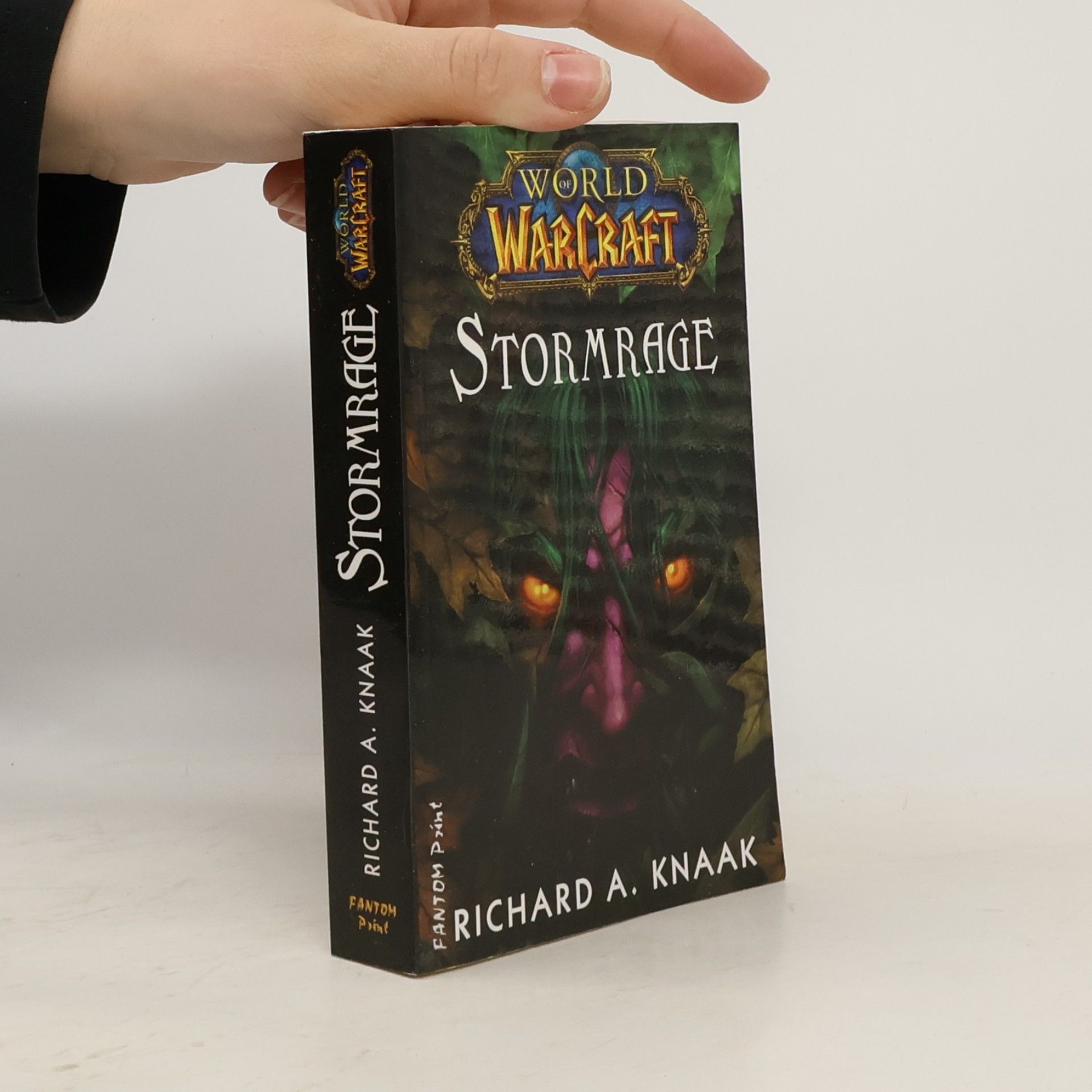 World WarCraft. Stormrage