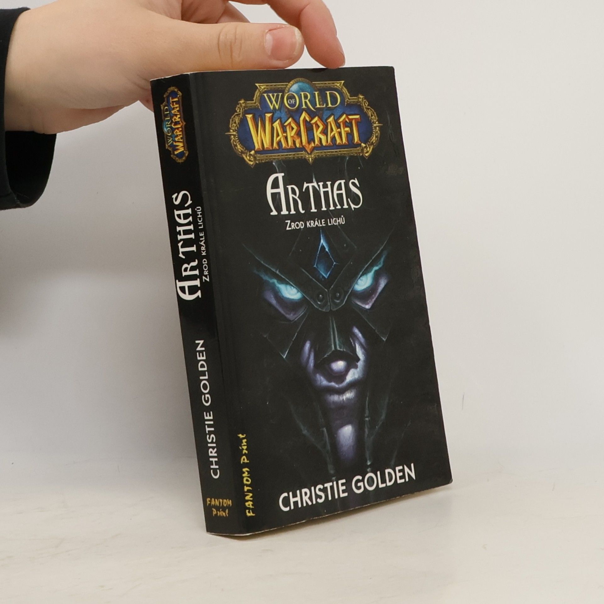World of WarCraft. Arthas
