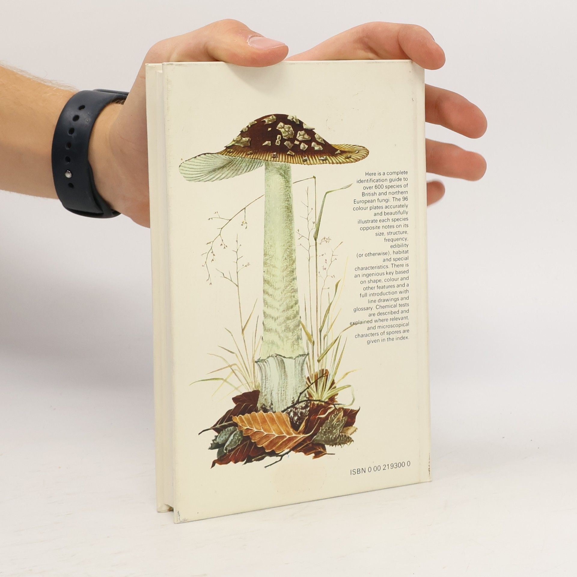 Morten Lange Collins Guide To Mushrooms & Toadstools